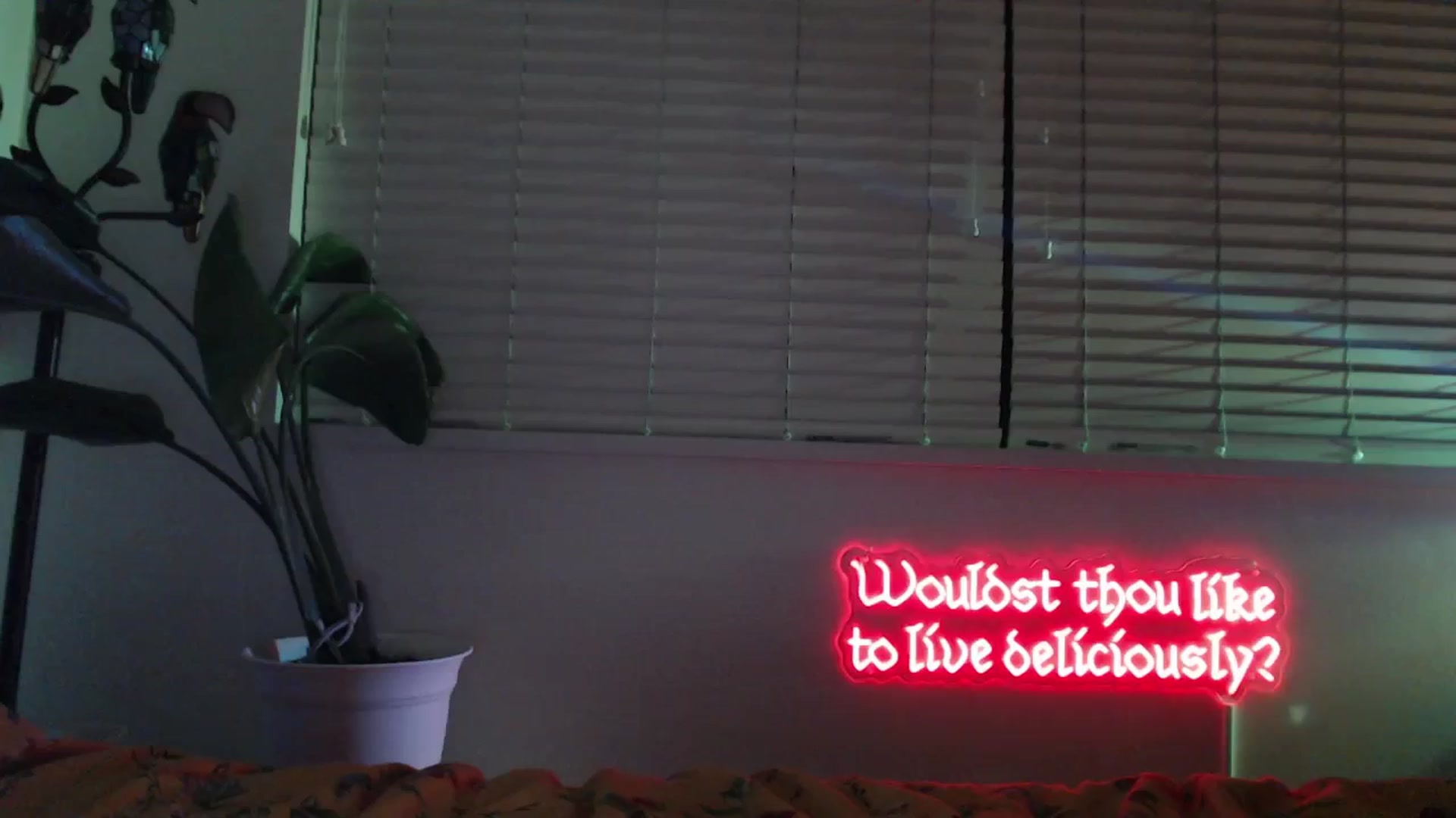 Gallery image thumbnail from NahlaHoney's myfreecams stream on, 12/19/2024, 05:29 image 4 of 20