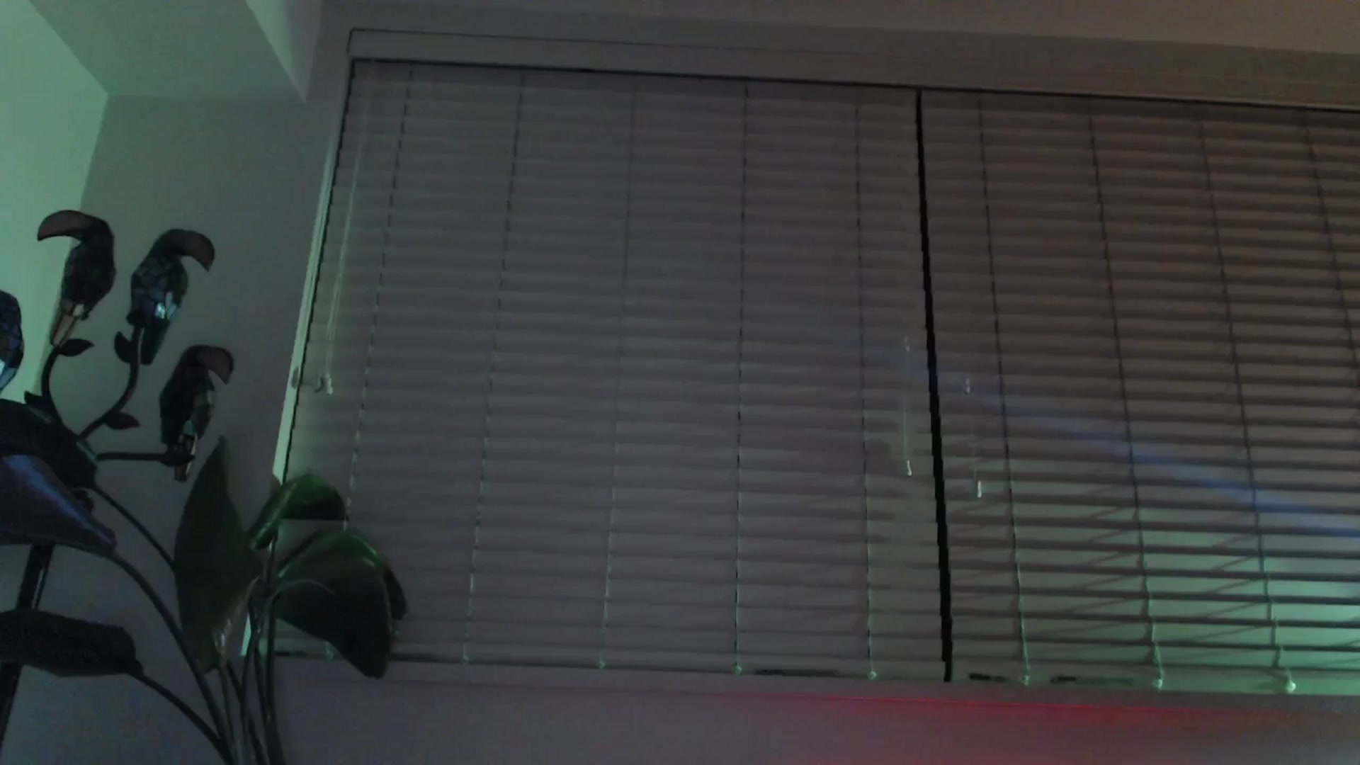 Gallery image thumbnail from NahlaHoney's myfreecams stream on, 12/19/2024, 05:29 image 7 of 20