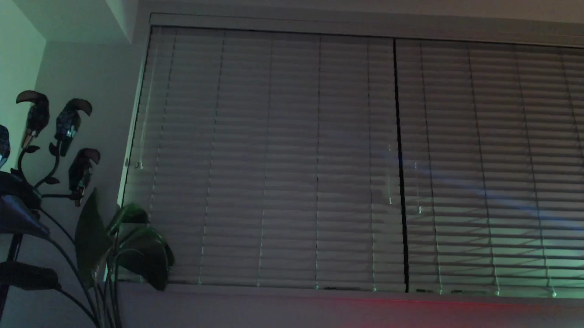 Gallery image thumbnail from NahlaHoney's myfreecams stream on, 12/19/2024, 05:29 image 8 of 20