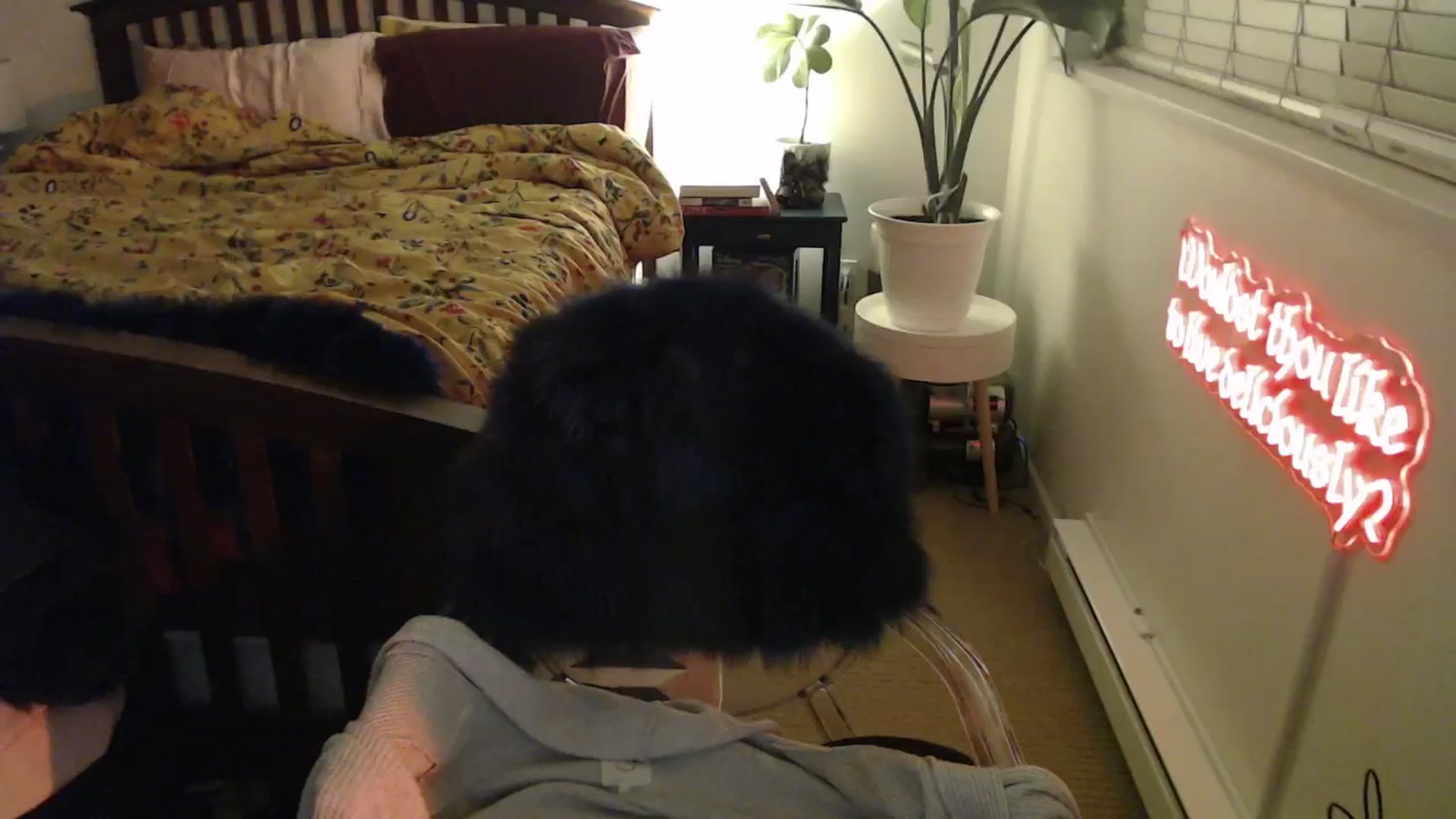 Gallery image thumbnail from NahlaHoney's myfreecams stream on, 02/10/2025, 03:38 image 8 of 20