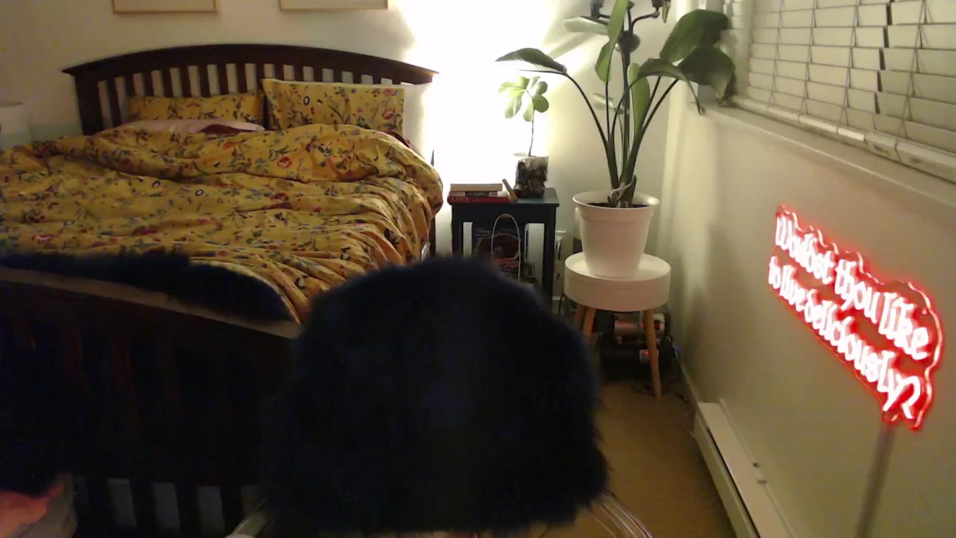 Gallery image thumbnail from NahlaHoney's myfreecams stream on, 02/14/2025, 04:28 image 19 of 20