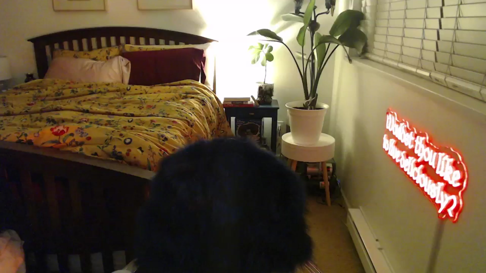 Gallery image thumbnail from NahlaHoney's myfreecams stream on, 02/17/2025, 04:21 image 16 of 20