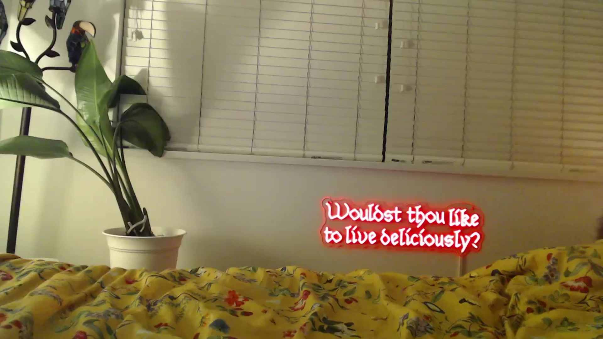 Gallery image thumbnail from NahlaHoney's myfreecams stream on, 02/17/2025, 05:28 image 2 of 20