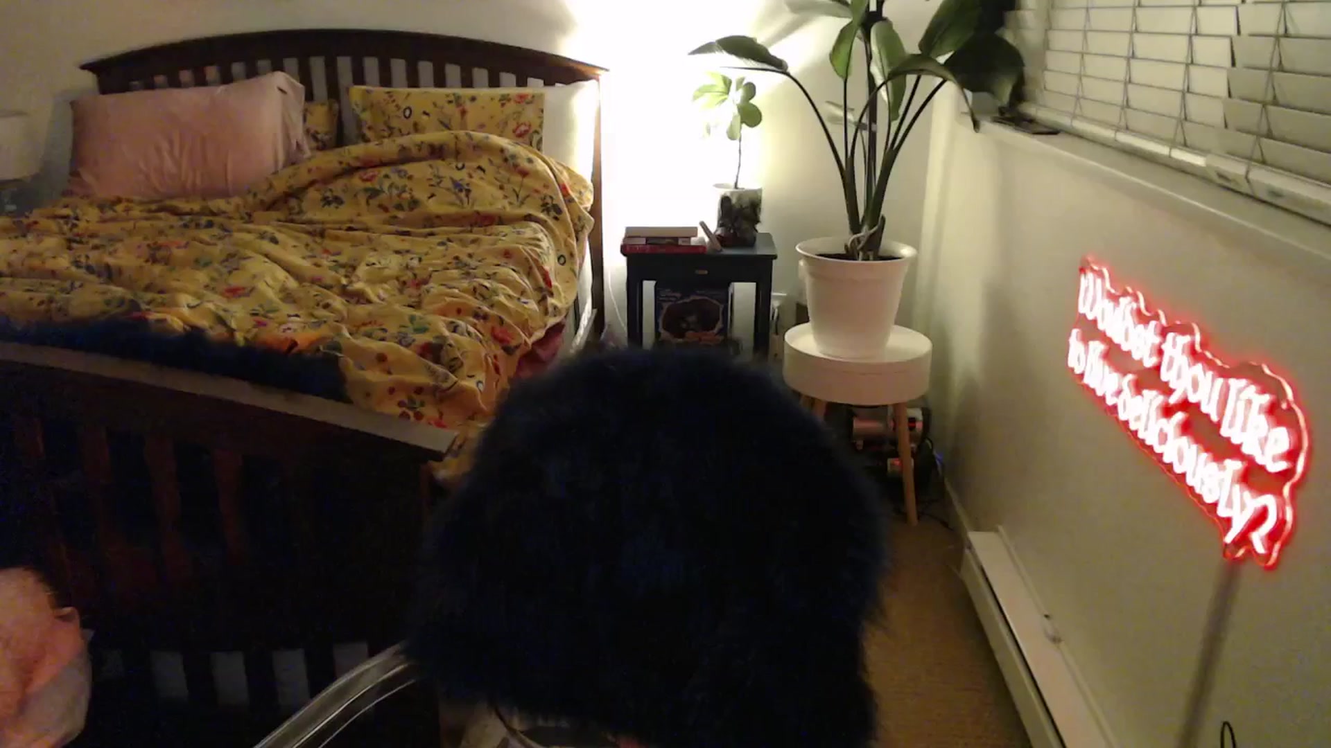 Gallery image thumbnail from NahlaHoney's myfreecams stream on, 02/26/2025, 05:06 image 13 of 20