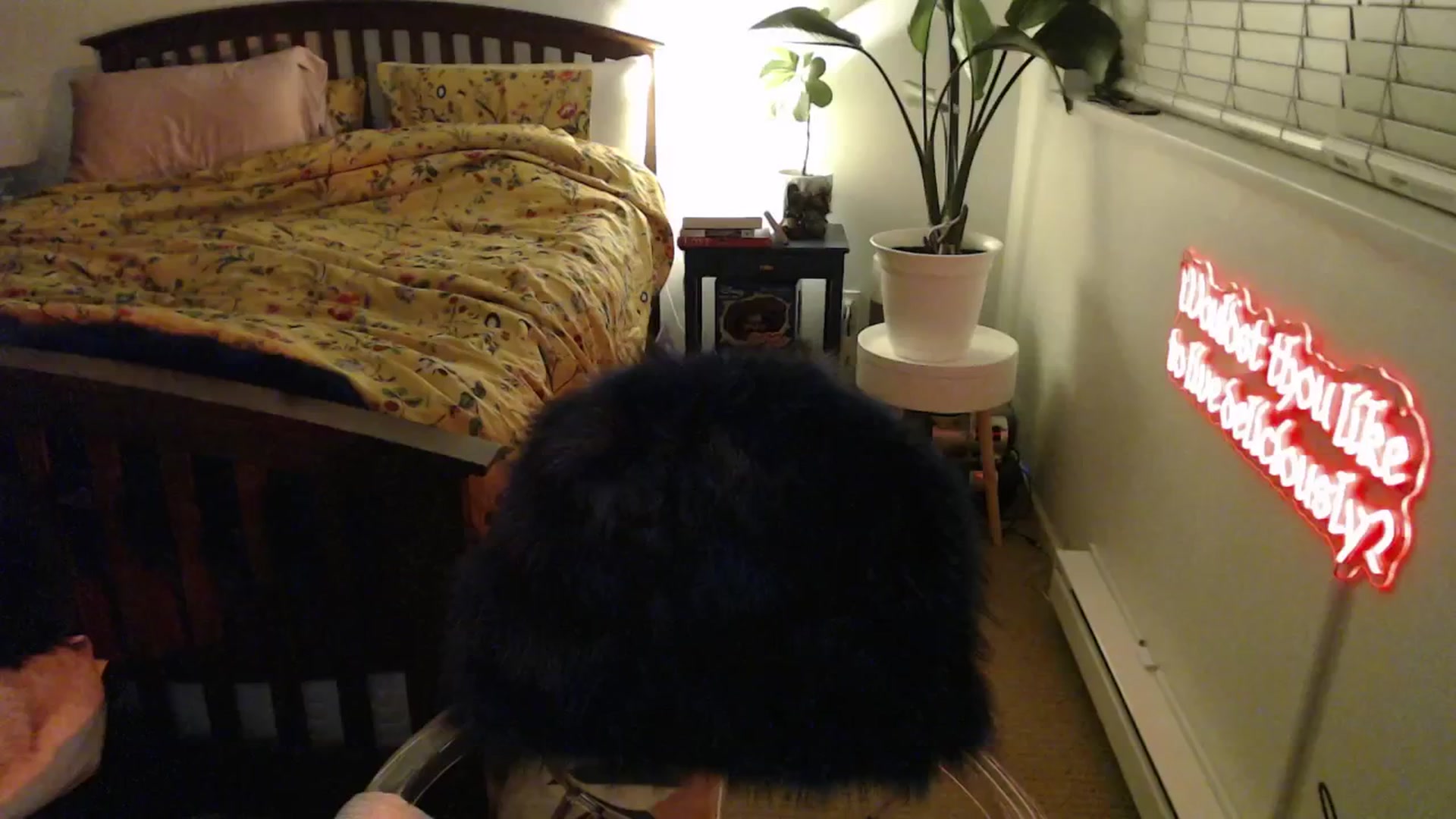 Gallery image thumbnail from NahlaHoney's myfreecams stream on, 02/27/2025, 05:05 image 12 of 20