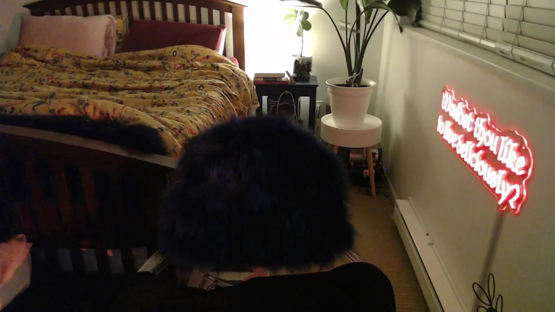 Gallery image thumbnail from NahlaHoney's myfreecams stream on, 03/06/2025, 05:24 image 16 of 20
