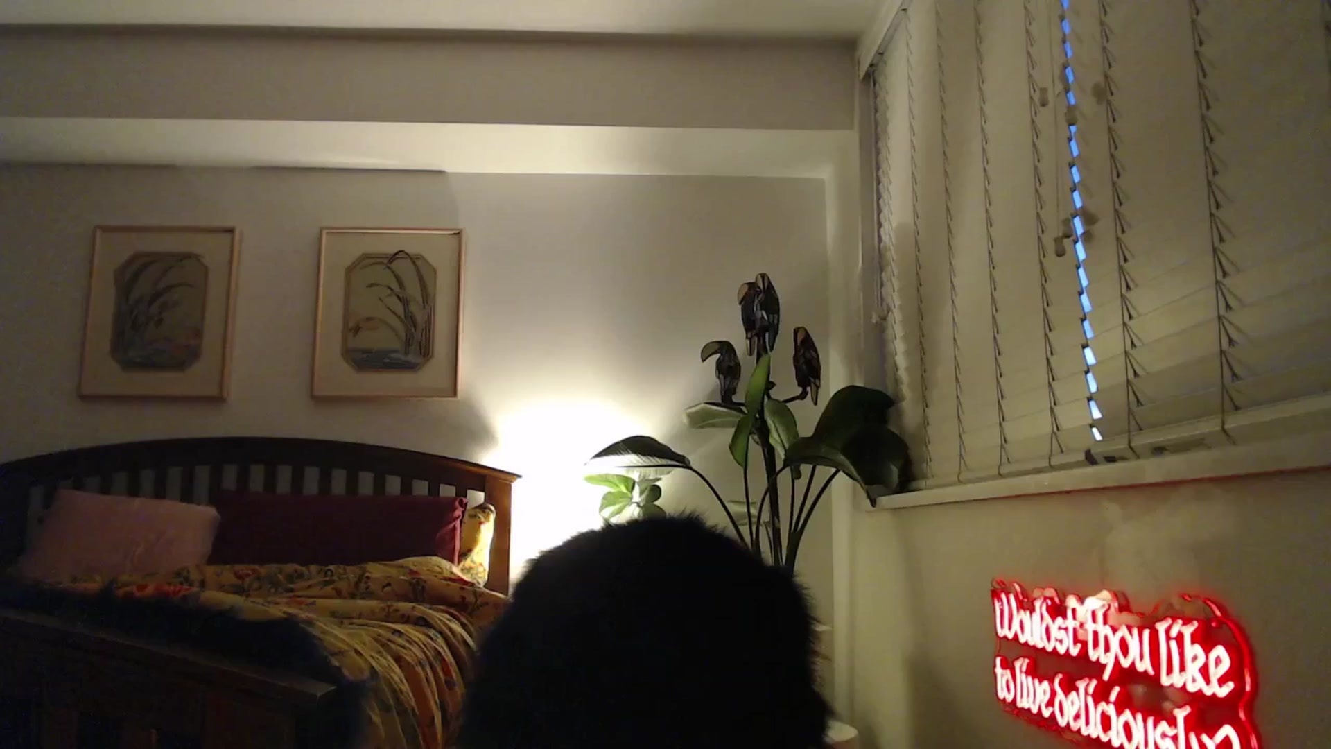Gallery image thumbnail from NahlaHoney's myfreecams stream on, 03/18/2025, 02:49 image 20 of 20
