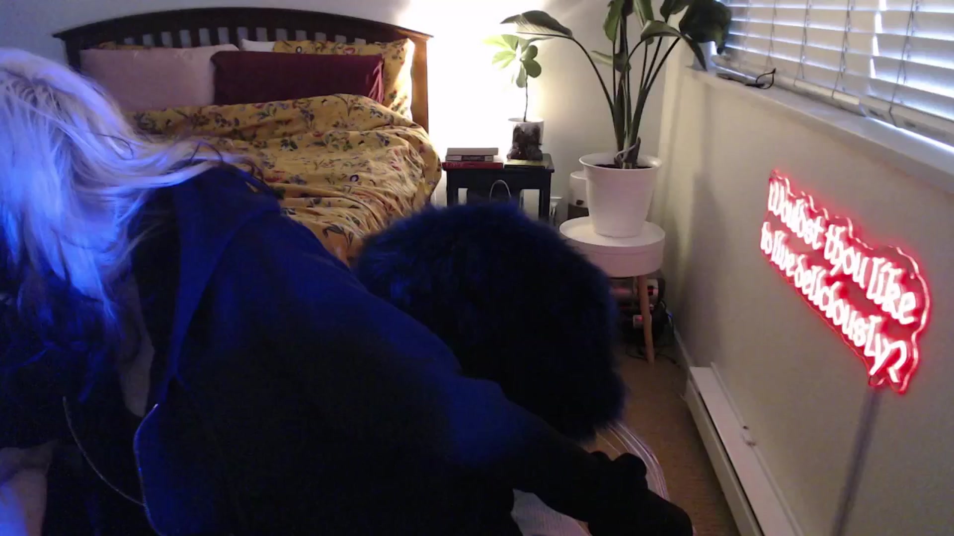 Gallery image thumbnail from NahlaHoney's myfreecams stream on, 03/19/2025, 03:03 image 5 of 20