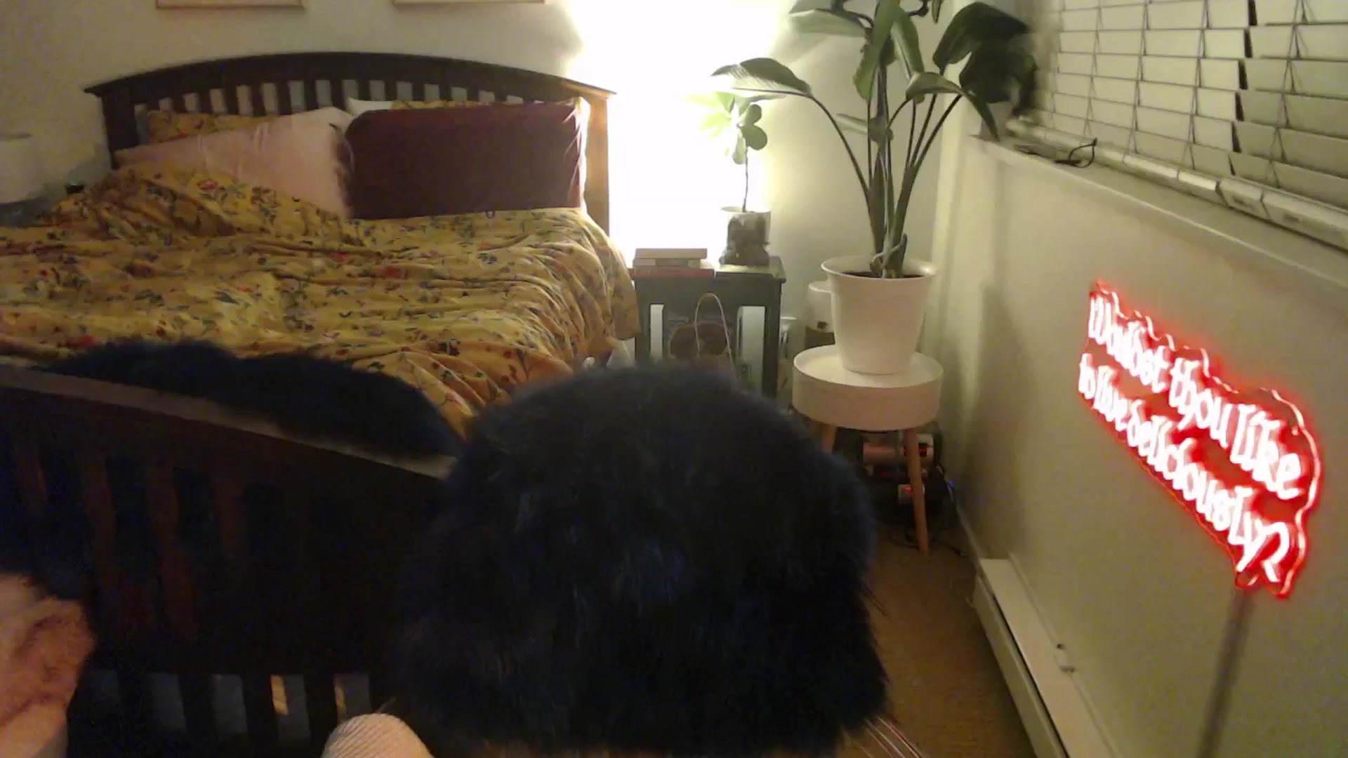 Gallery image thumbnail from NahlaHoney's myfreecams stream on, 03/20/2025, 04:24 image 1 of 20