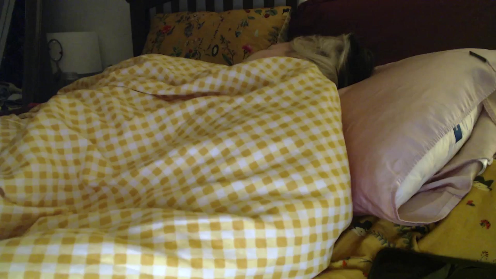 Gallery image thumbnail from NahlaHoney's myfreecams stream on, 03/21/2025, 03:57 image 19 of 20