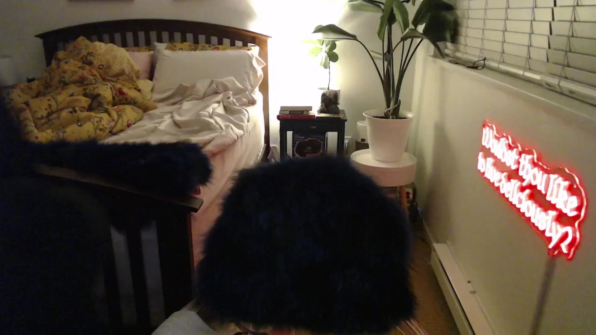 Gallery image thumbnail from NahlaHoney's myfreecams stream on, 03/27/2025, 03:30 image 18 of 20