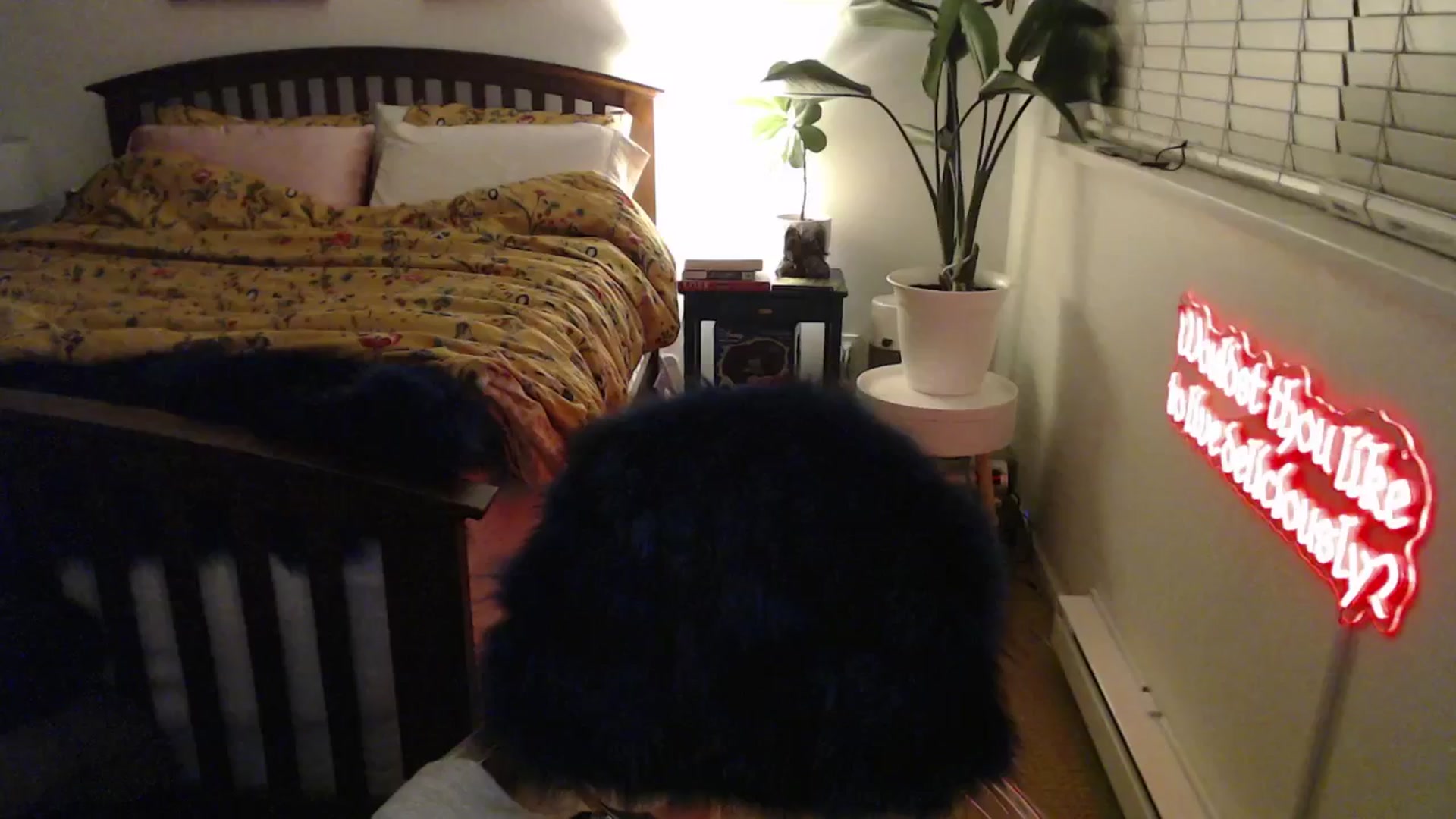 Gallery image thumbnail from NahlaHoney's myfreecams stream on, 03/27/2025, 03:30 image 20 of 20
