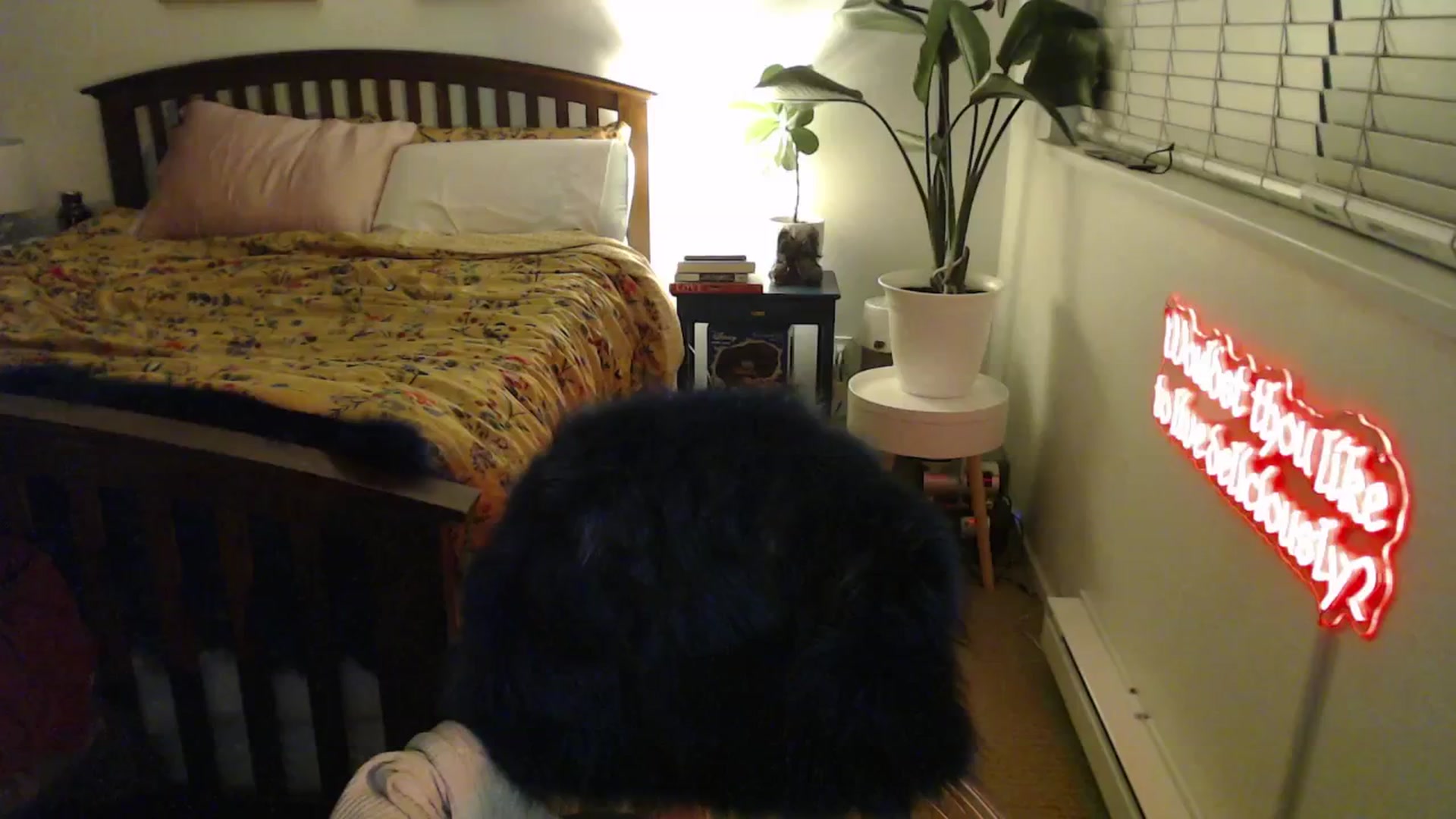 Gallery image thumbnail from NahlaHoney's myfreecams stream on, 03/31/2025, 03:50 image 1 of 20