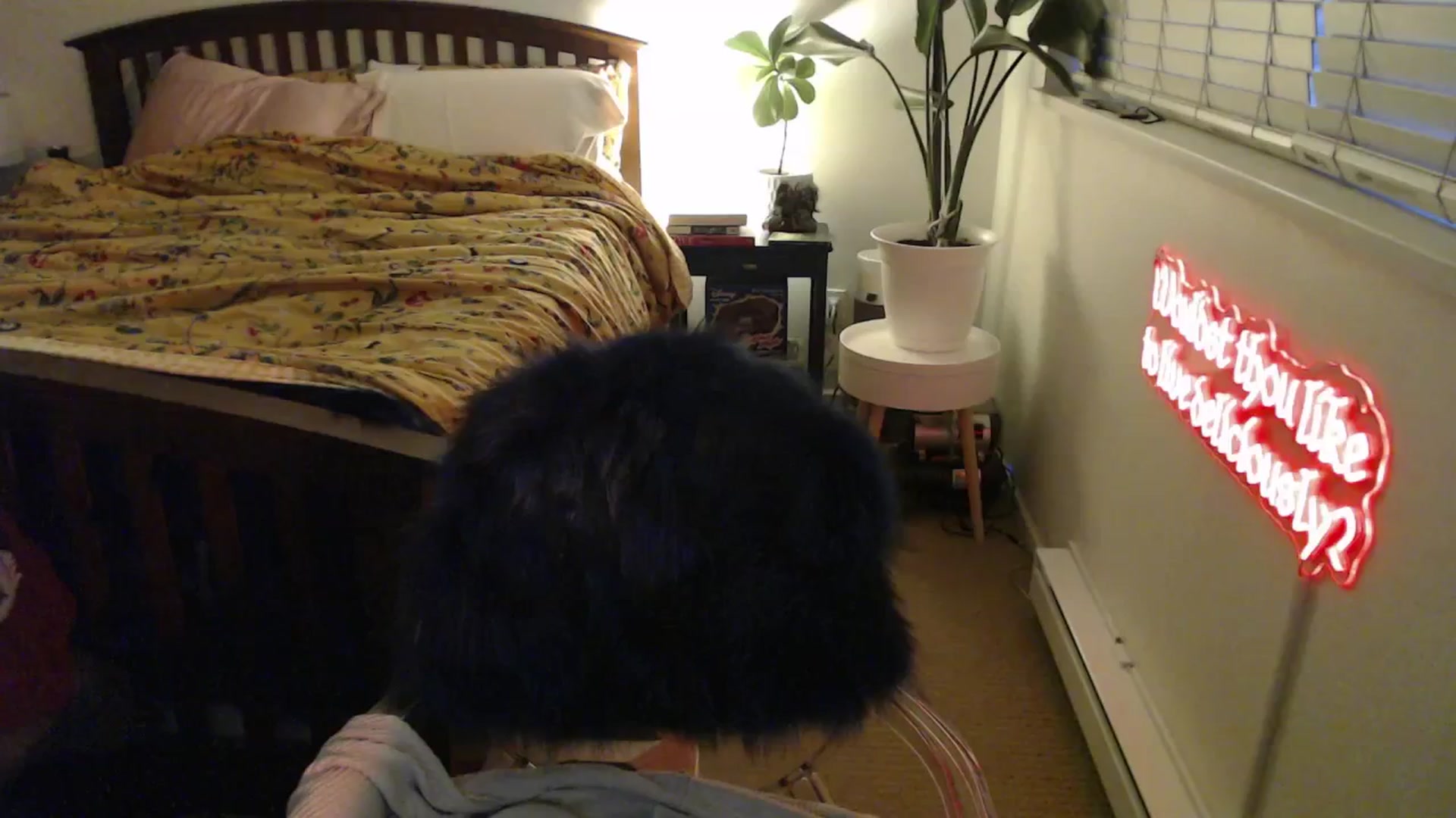 Gallery image thumbnail from NahlaHoney's myfreecams stream on, 04/22/2025, 04:14 image 15 of 20