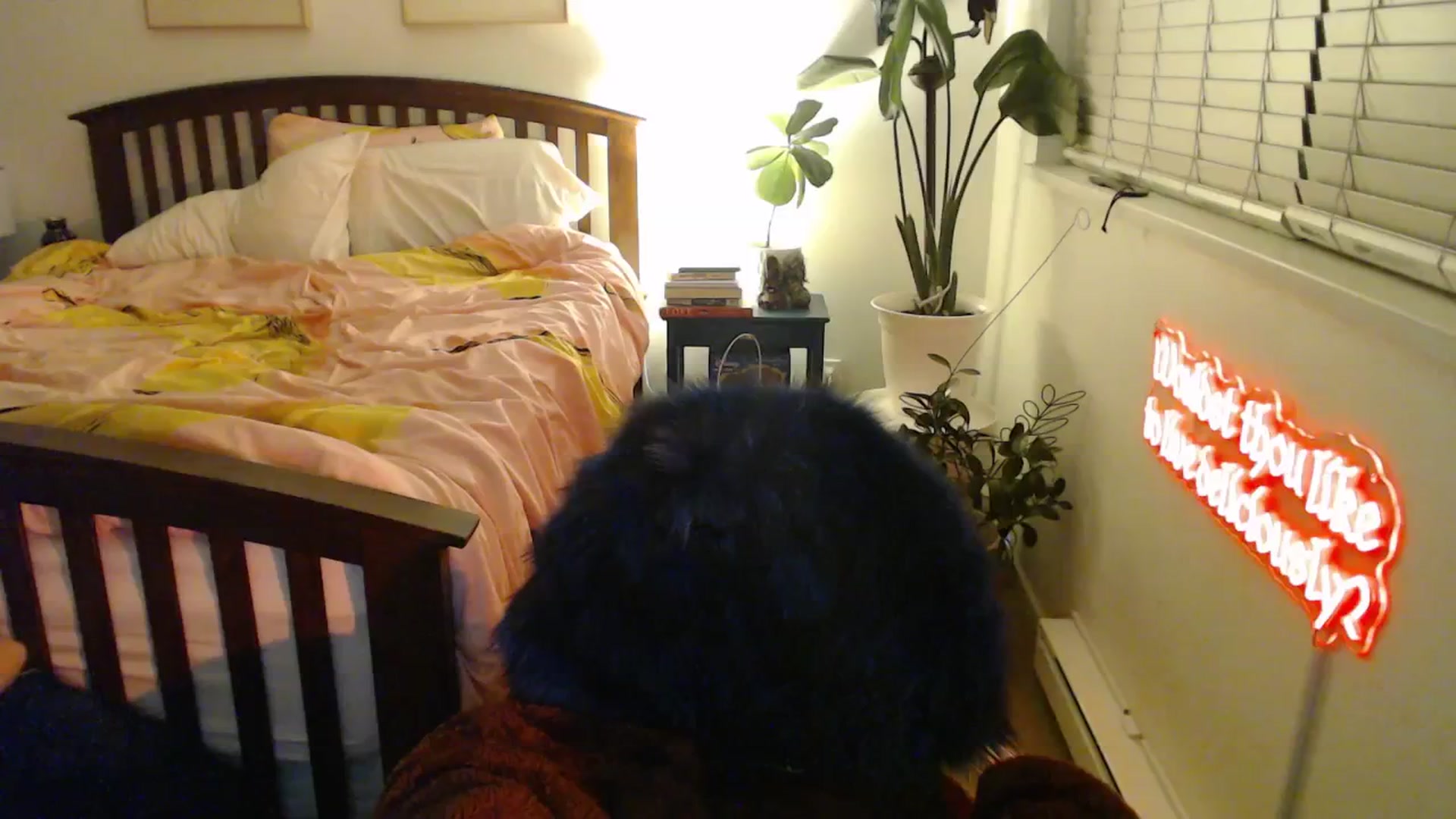 Gallery image thumbnail from NahlaHoney's myfreecams stream on, 10/21/2025, 03:58 image 14 of 20