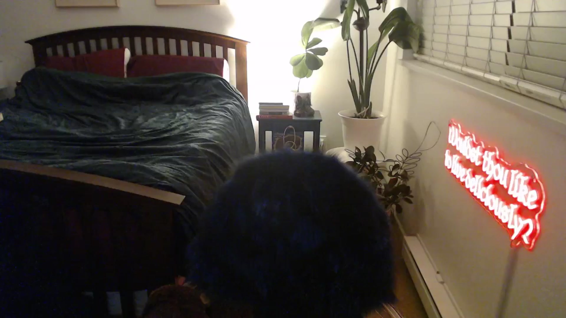 Gallery image thumbnail from NahlaHoney's myfreecams stream on, 01/10/2026, 06:12 image 13 of 20