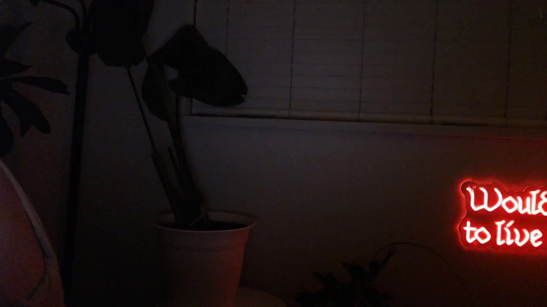 Gallery image thumbnail from NahlaHoney's myfreecams stream on, 01/17/2026, 05:37 image 8 of 20