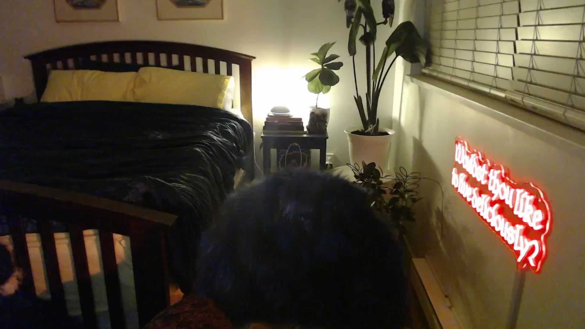 Gallery image thumbnail from NahlaHoney's myfreecams stream on, 01/17/2026, 05:37 image 13 of 20