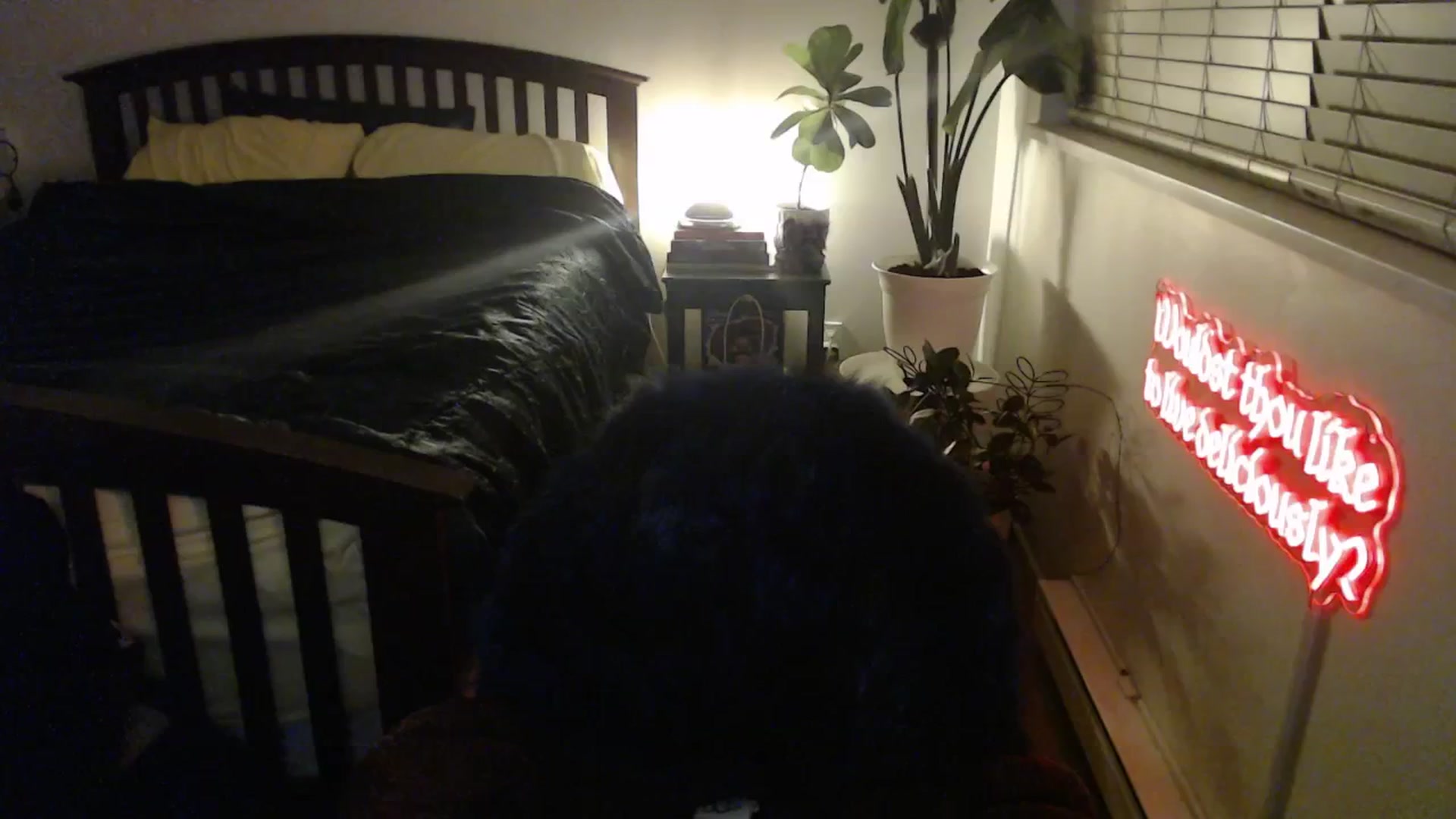 Gallery image thumbnail from NahlaHoney's myfreecams stream on, 01/22/2026, 04:34 image 17 of 20