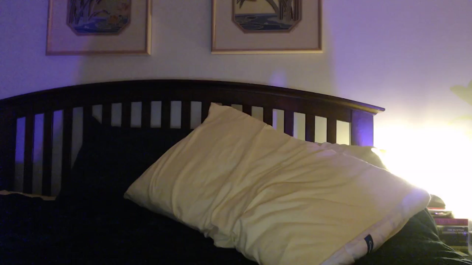 Gallery image thumbnail from NahlaHoney's myfreecams stream on, 01/29/2026, 05:29 image 8 of 20