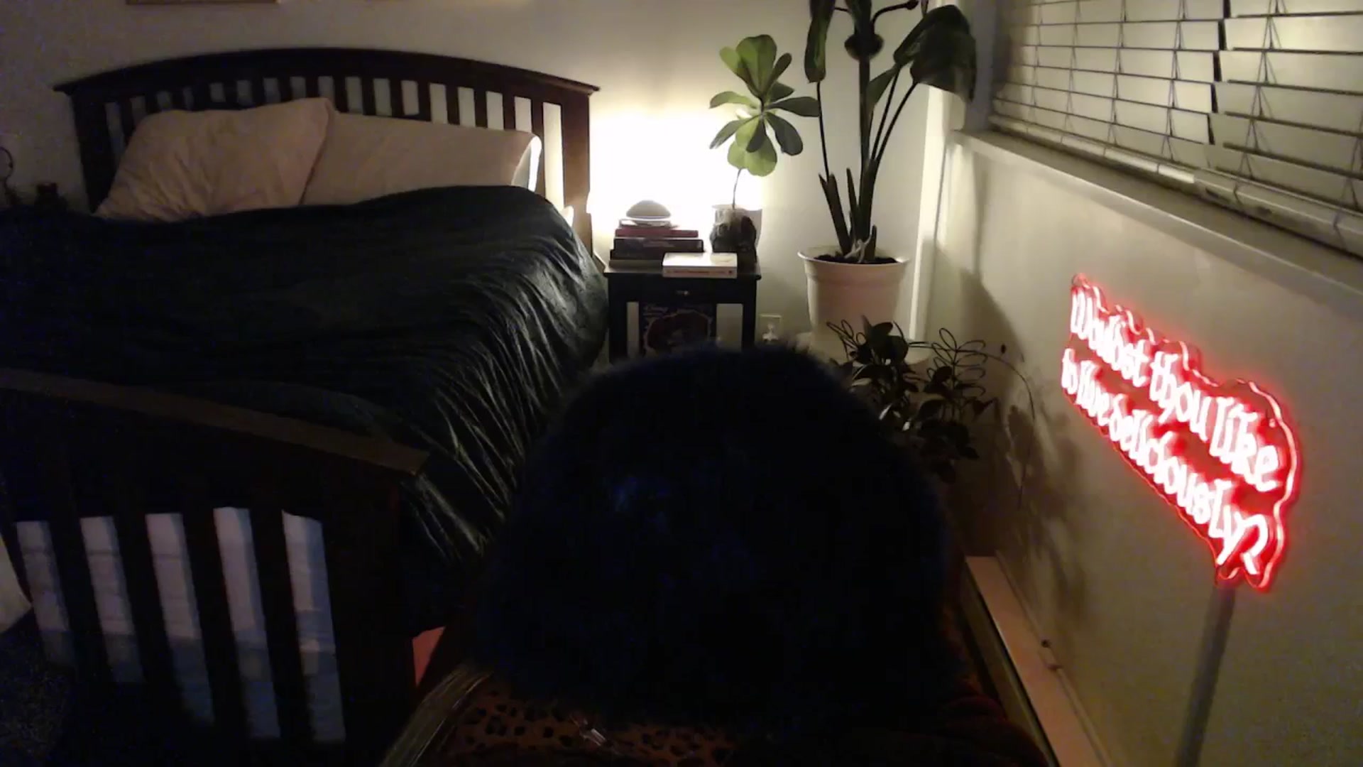 Gallery image thumbnail from NahlaHoney's myfreecams stream on, 02/11/2026, 03:49 image 18 of 20