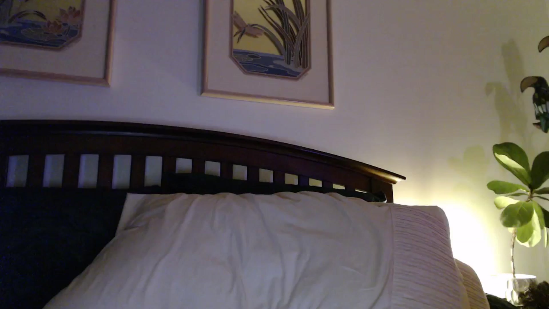 Gallery image thumbnail from NahlaHoney's myfreecams stream on, 02/23/2026, 06:34 image 16 of 20