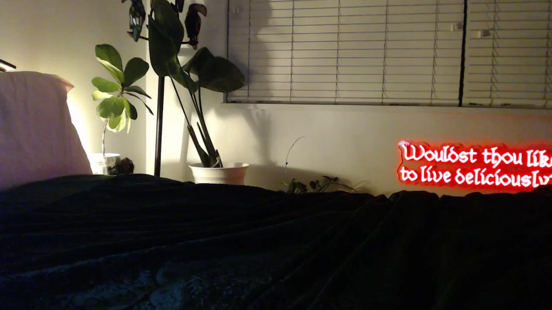 Gallery image thumbnail from NahlaHoney's myfreecams stream on, 03/07/2026, 04:56 image 14 of 20