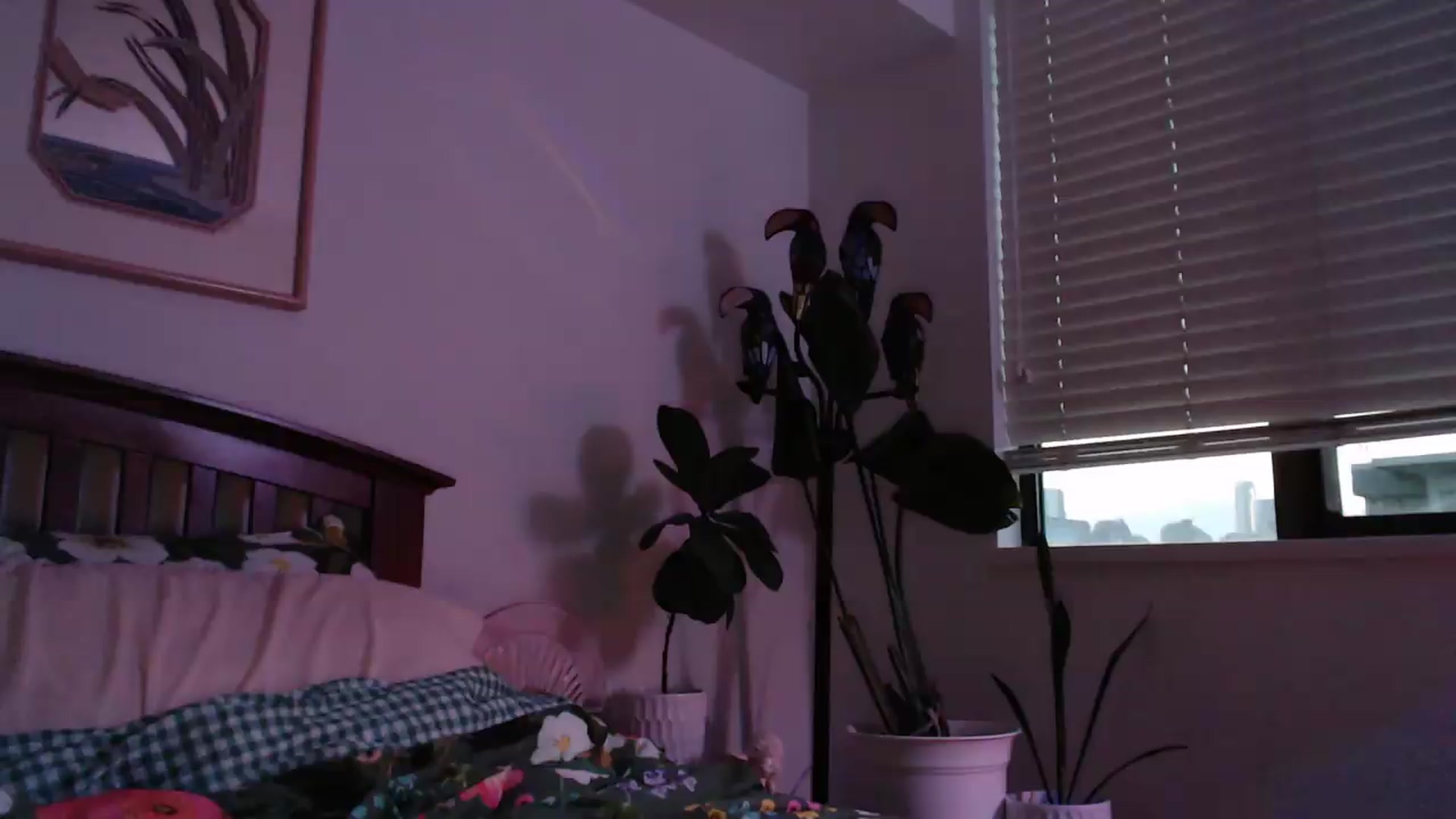 Gallery image thumbnail from NahlaHoney's myfreecams stream on, 07/22/2026, 04:34 image 3 of 20