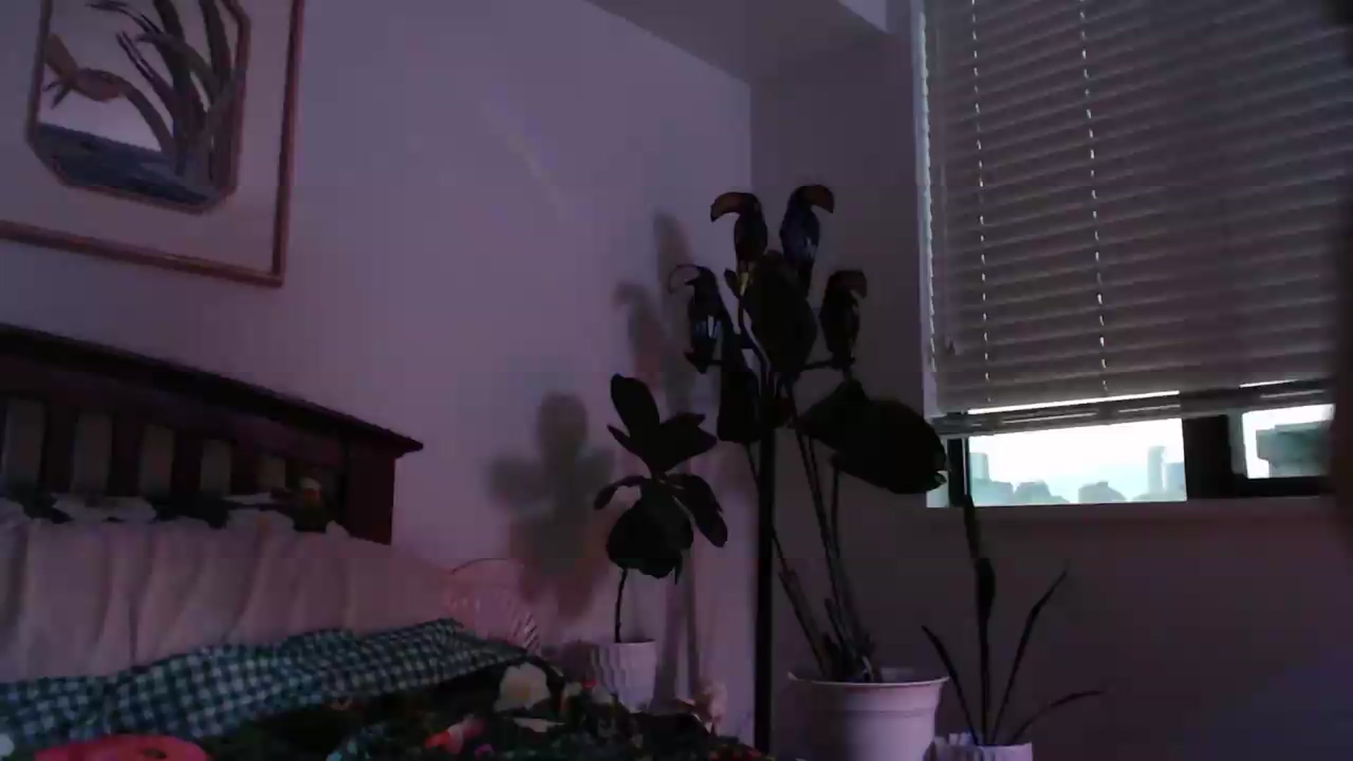 Gallery image thumbnail from NahlaHoney's myfreecams stream on, 07/22/2026, 04:34 image 2 of 20