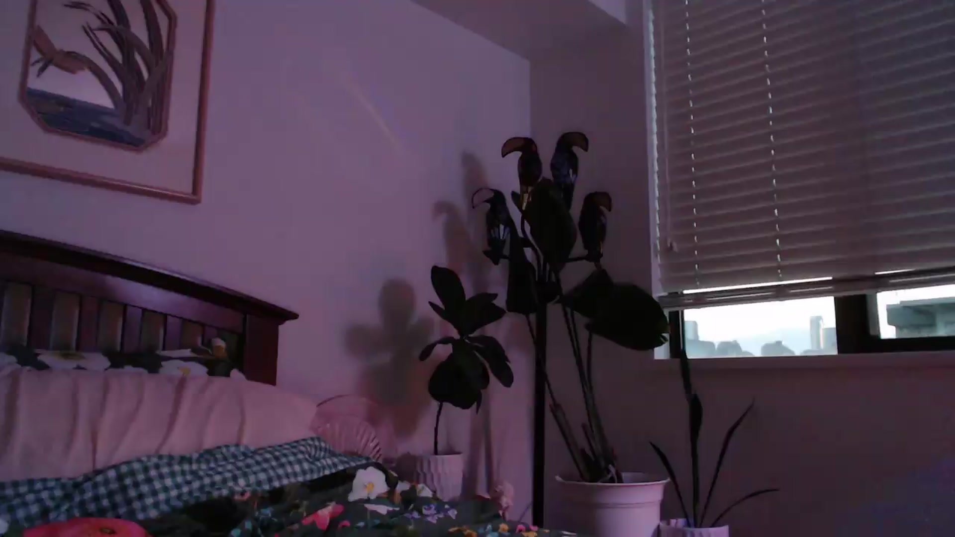 Gallery image thumbnail from NahlaHoney's myfreecams stream on, 07/22/2026, 04:34 image 4 of 20