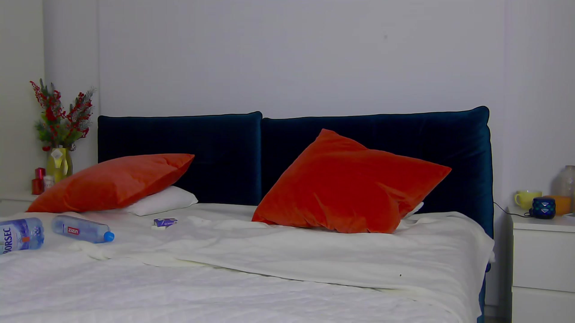 Gallery image thumbnail from NaiaSummer's myfreecams stream on, 02/12/2024, 18:03 image 12 of 20