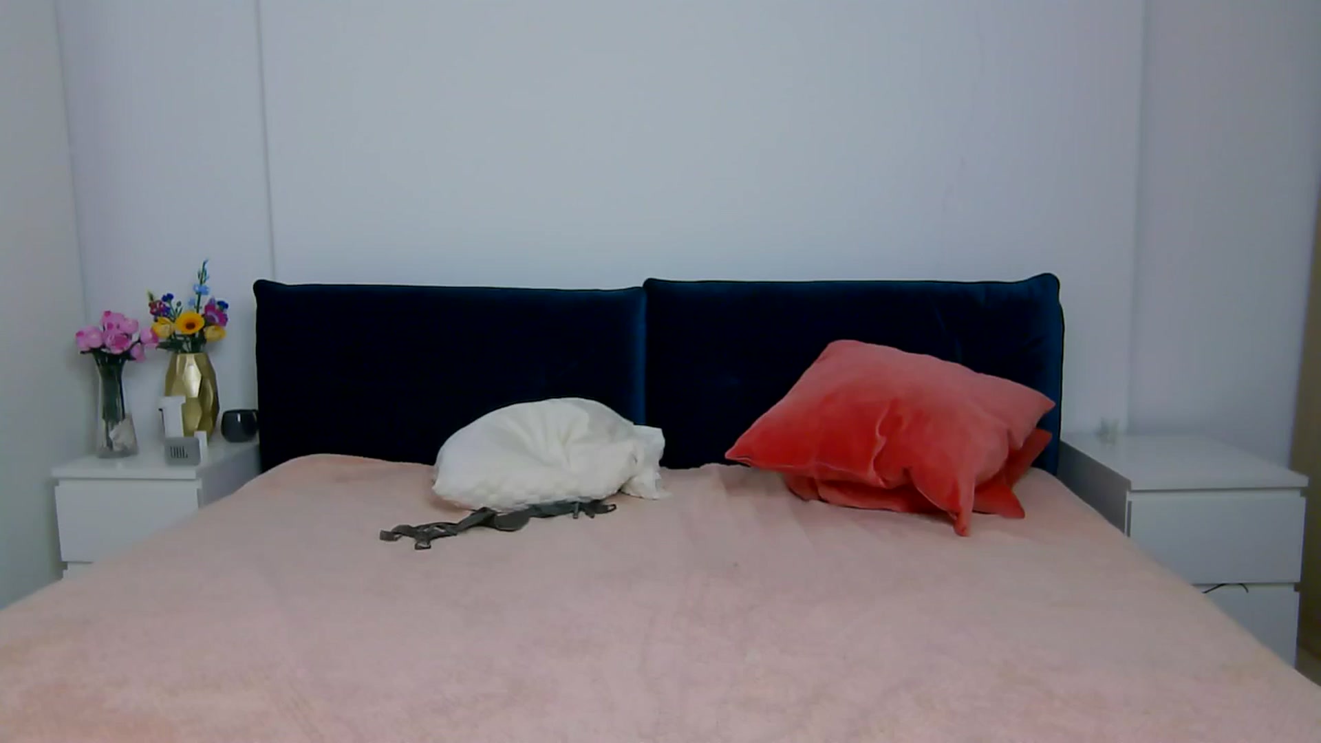Gallery image thumbnail from NaiaaBee's myfreecams stream on, 11/27/2025, 20:02 image 14 of 20