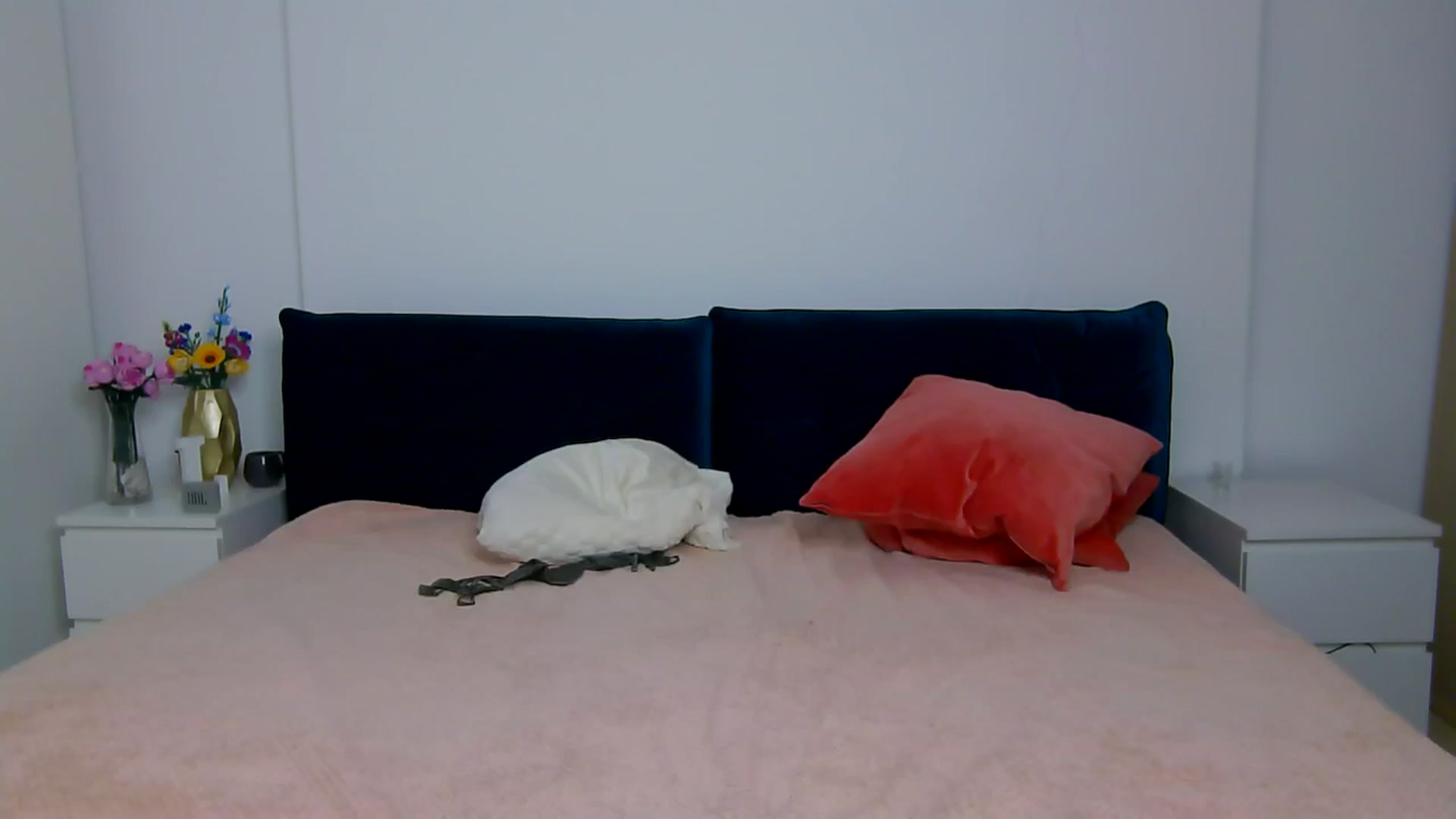 Gallery image thumbnail from NaiaaBee's myfreecams stream on, 11/27/2025, 20:02 image 13 of 20