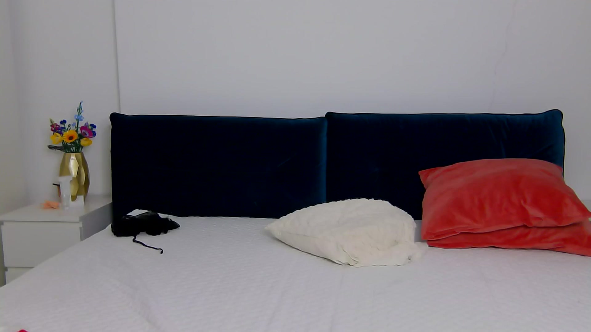 Gallery image thumbnail from NaiaaBee's myfreecams stream on, 12/27/2025, 14:04 image 17 of 20