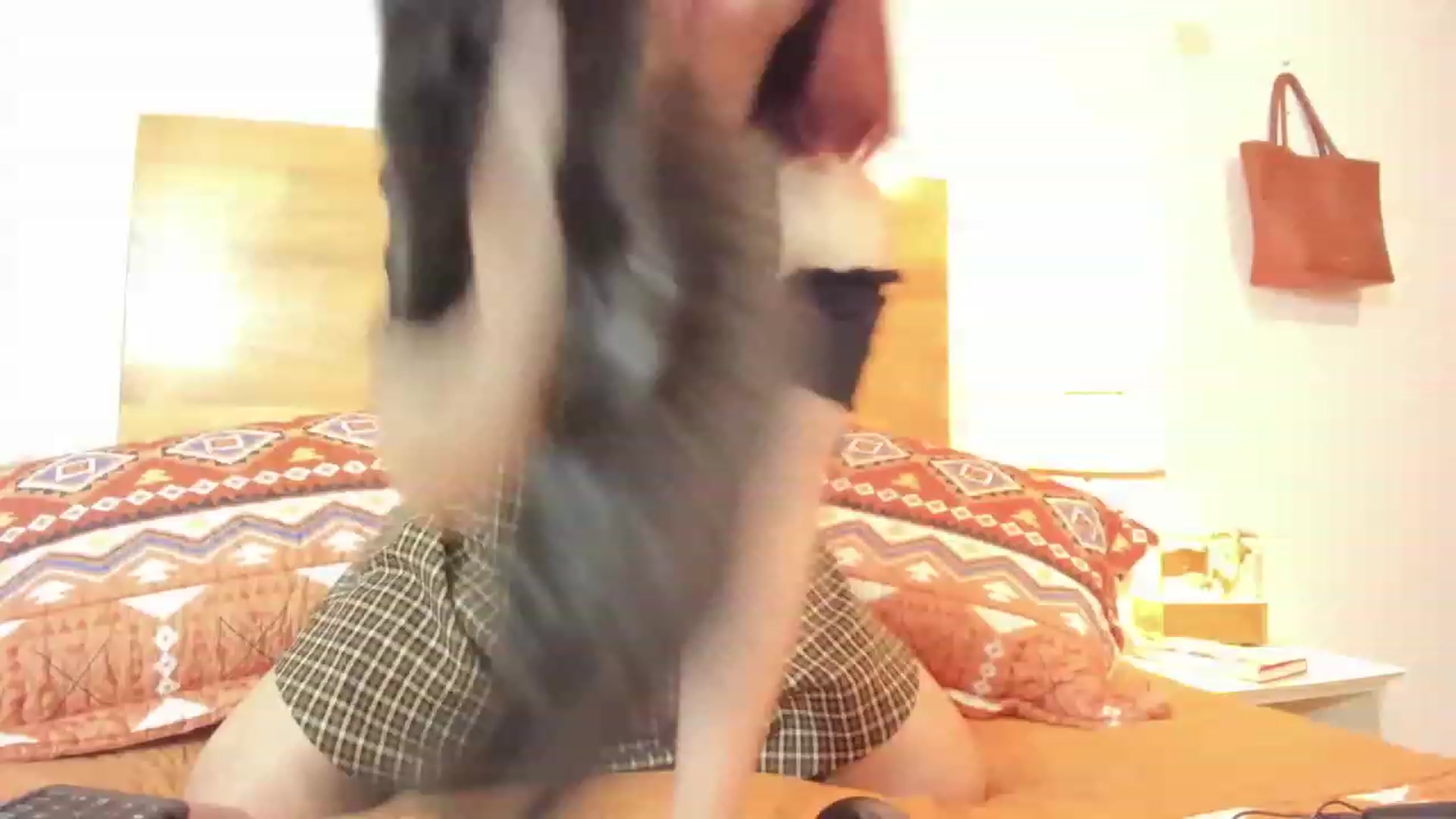 Gallery image thumbnail from Nameless_soul's myfreecams stream on, 04/27/2023, 03:54 image 10 of 20