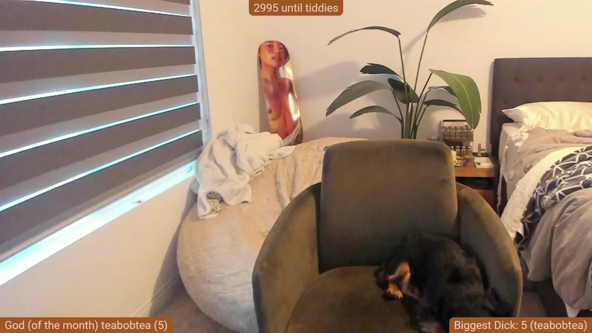 Gallery image thumbnail from Nami_'s myfreecams stream on, 10/03/2023, 01:46 image 8 of 20