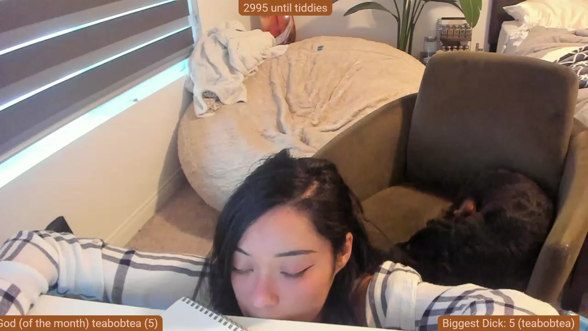 Gallery image thumbnail from Nami_'s myfreecams stream on, 10/03/2023, 01:46 image 5 of 20