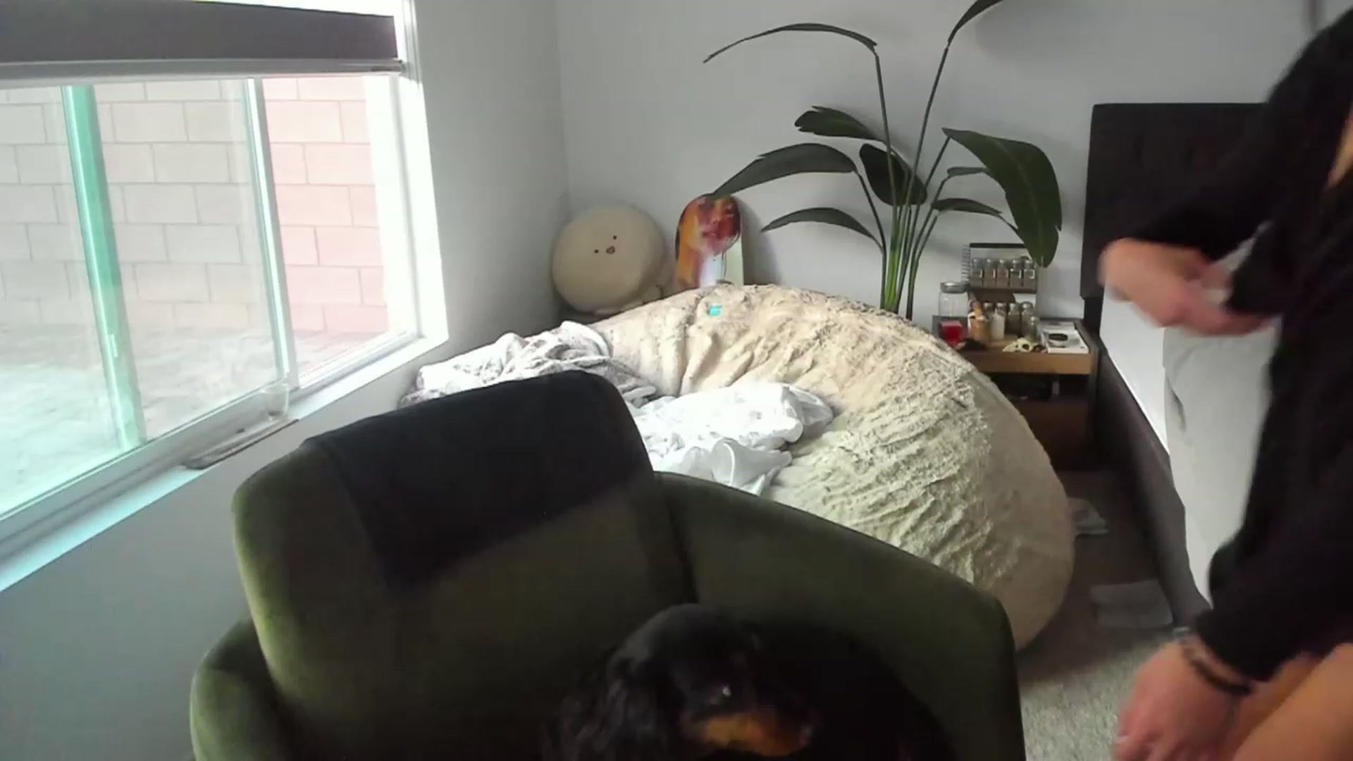 Gallery image thumbnail from Nami_'s myfreecams stream on, 11/03/2023, 01:21 image 12 of 20