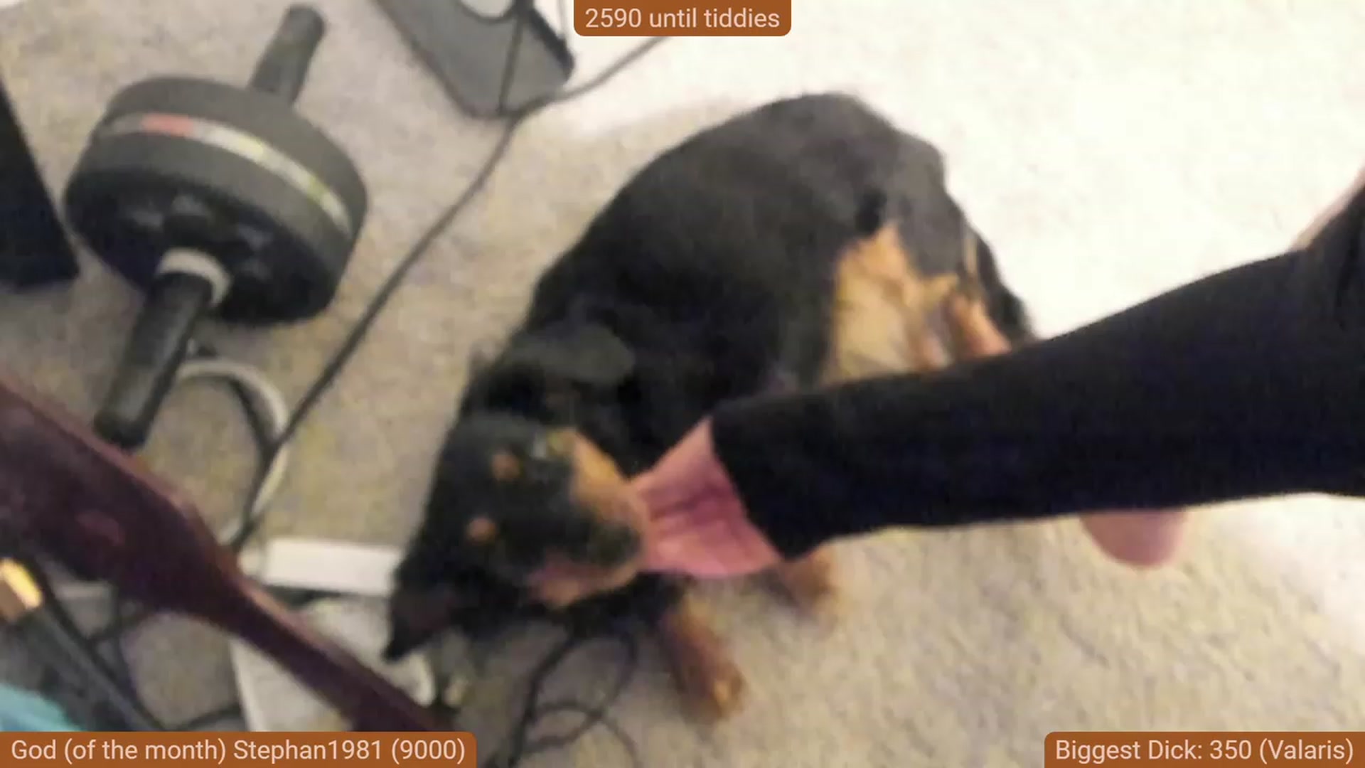 Gallery image thumbnail from Nami_'s myfreecams stream on, 11/26/2023, 05:22 image 2 of 20