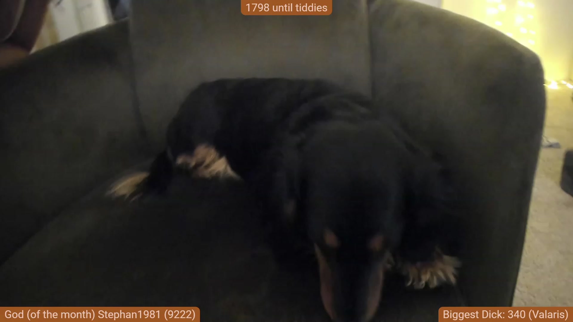 Gallery image thumbnail from Nami_'s myfreecams stream on, 12/01/2023, 02:26 image 15 of 20