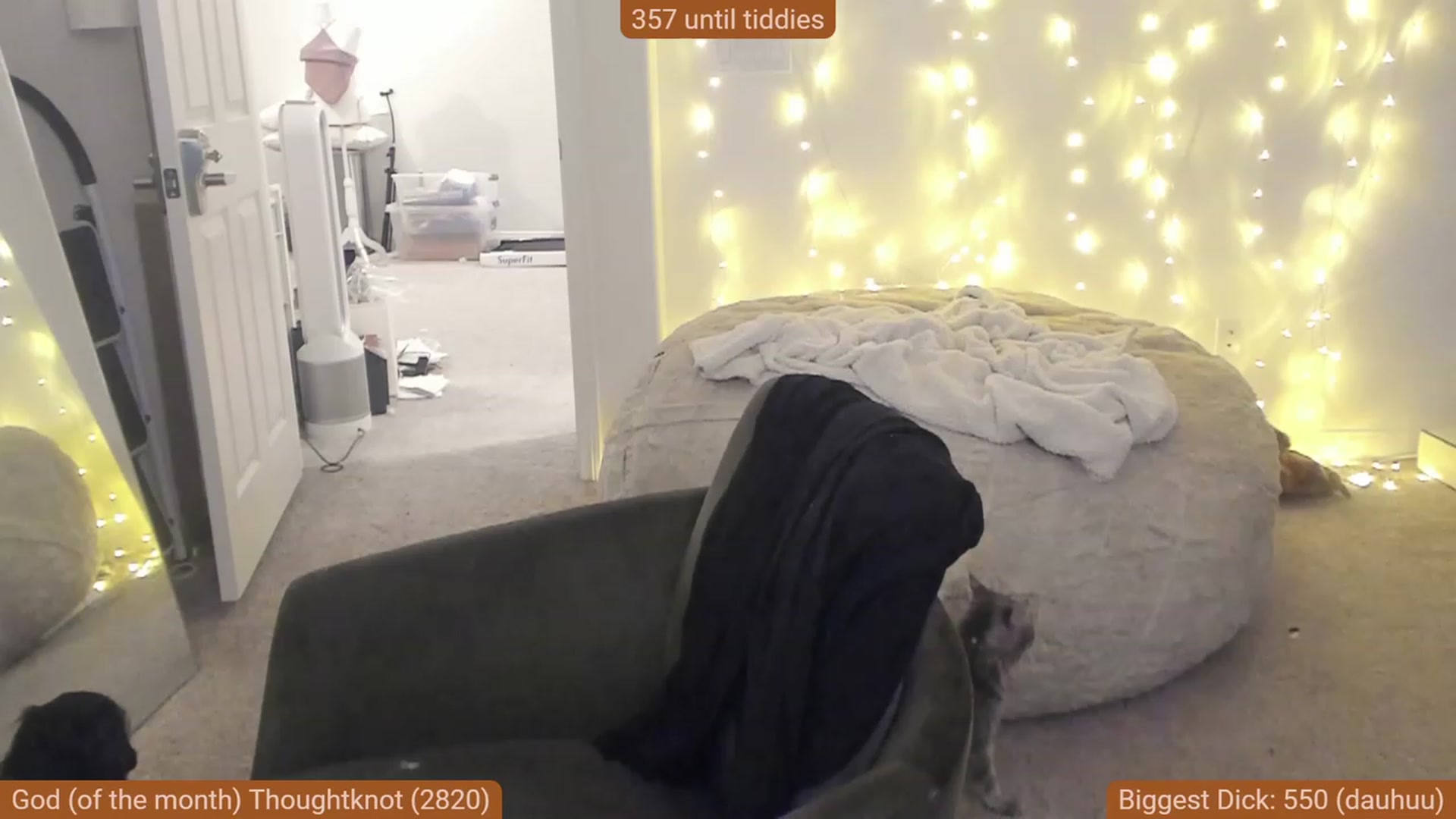Gallery image thumbnail from Nami_'s myfreecams stream on, 12/08/2023, 04:09 image 9 of 20