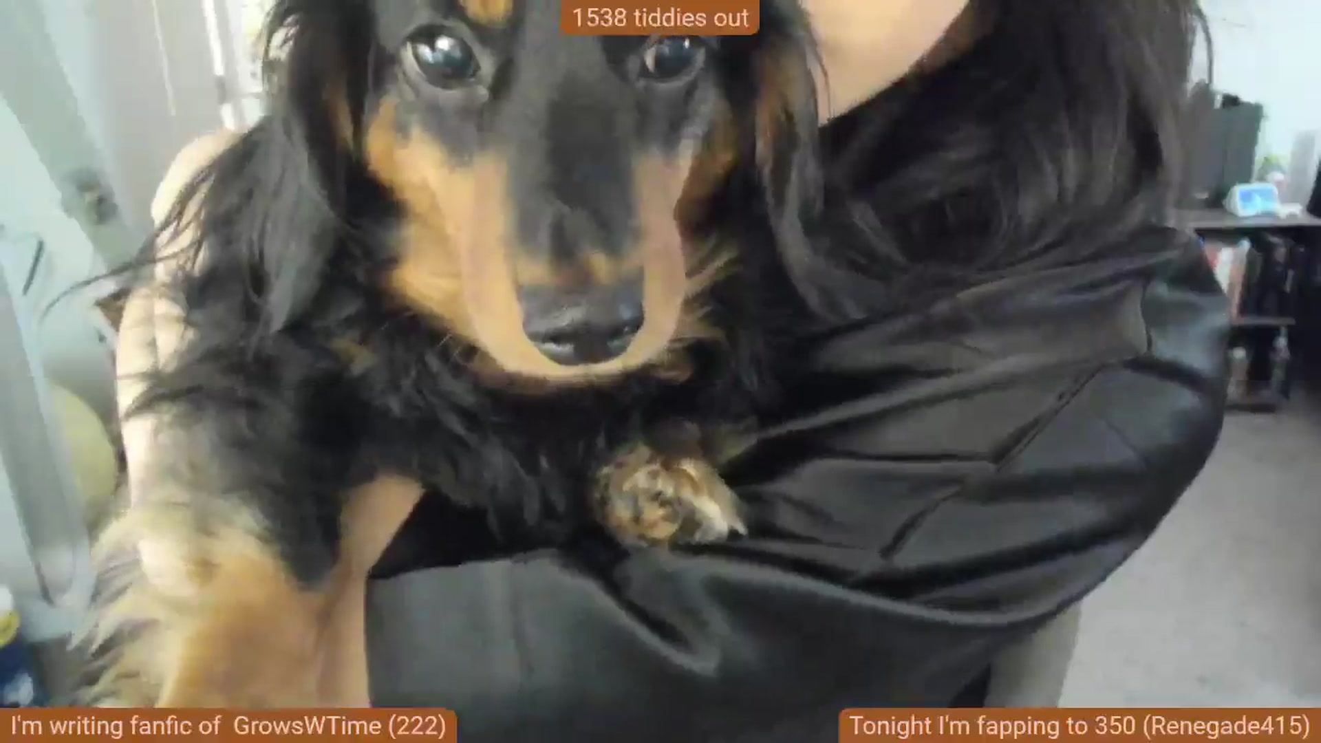 Gallery image thumbnail from Nami_'s myfreecams stream on, 01/01/2025, 15:14 image 4 of 20