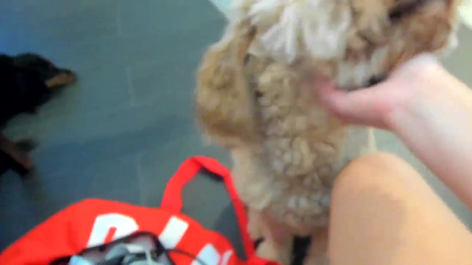 Gallery image thumbnail from Nami_'s myfreecams stream on, 06/07/2025, 05:23 image 18 of 20