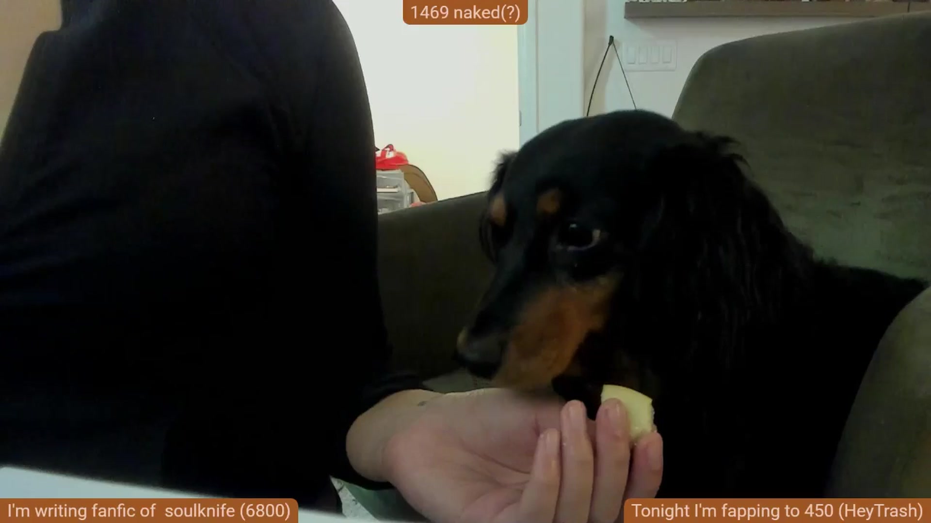 Gallery image thumbnail from Nami_'s myfreecams stream on, 08/31/2025, 05:46 image 12 of 20