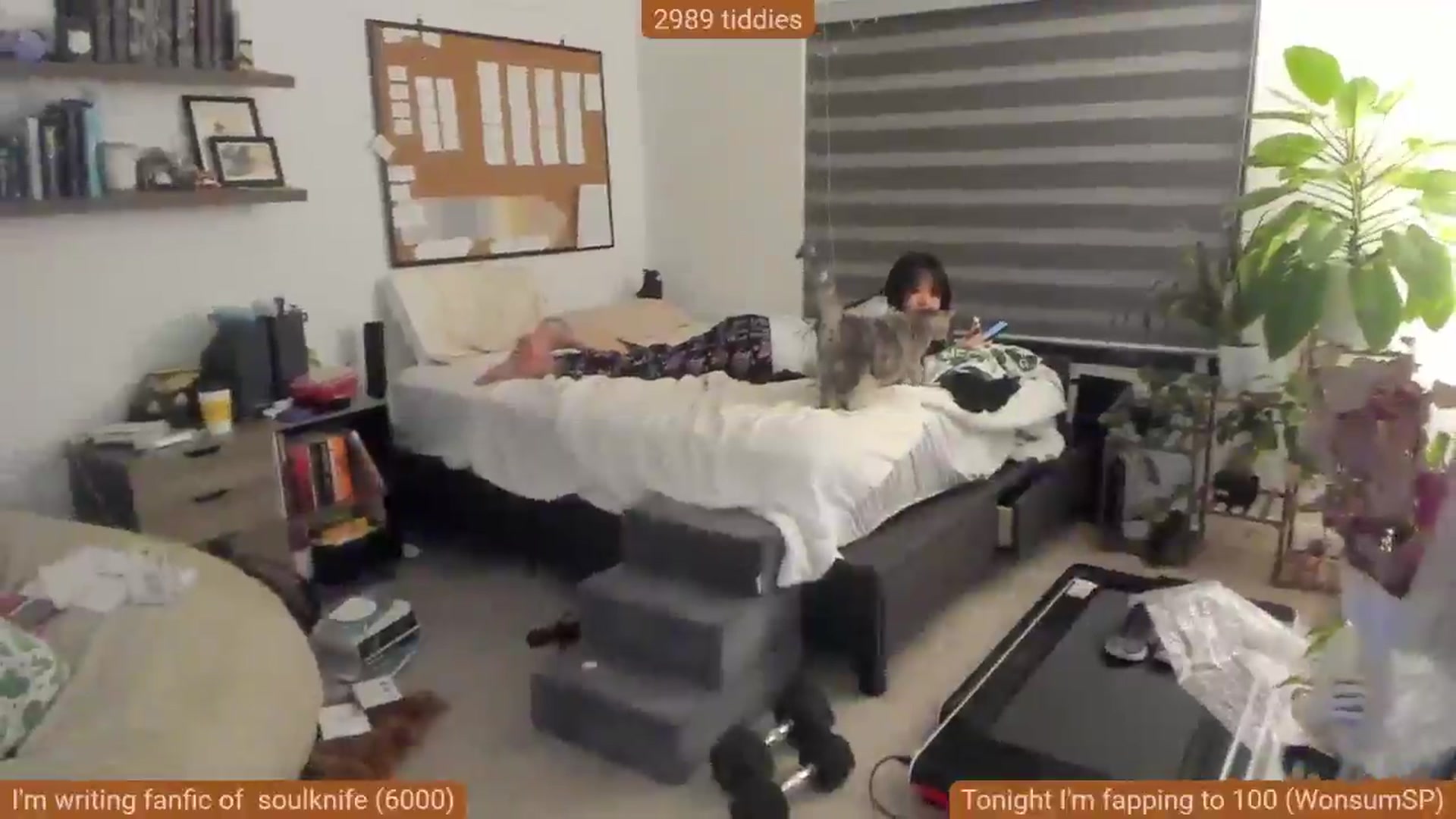 Gallery image thumbnail from Nami_'s myfreecams stream on, 10/20/2025, 10:46 image 5 of 20