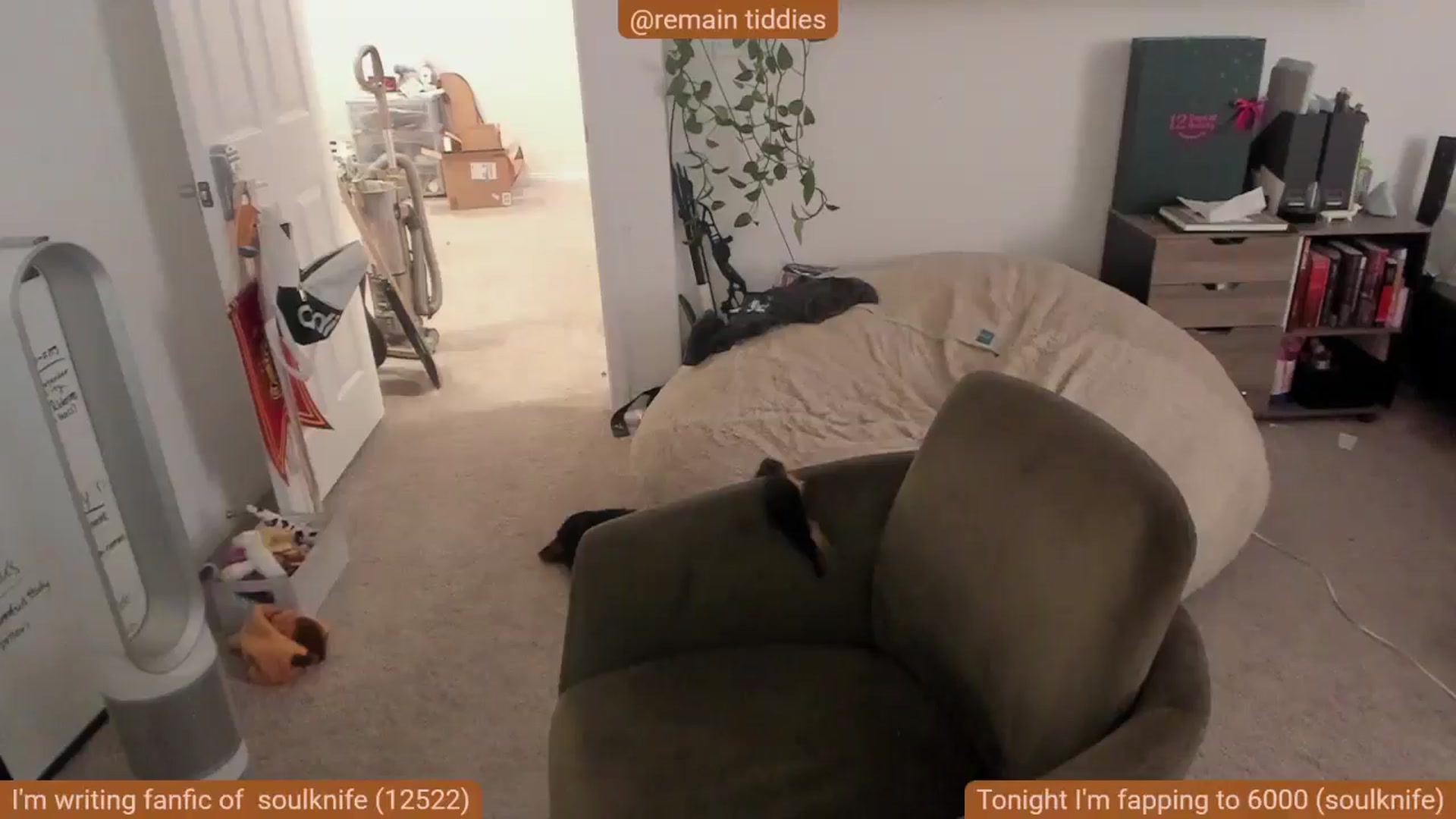Gallery image thumbnail from Nami_'s myfreecams stream on, 11/16/2025, 07:36 image 17 of 20