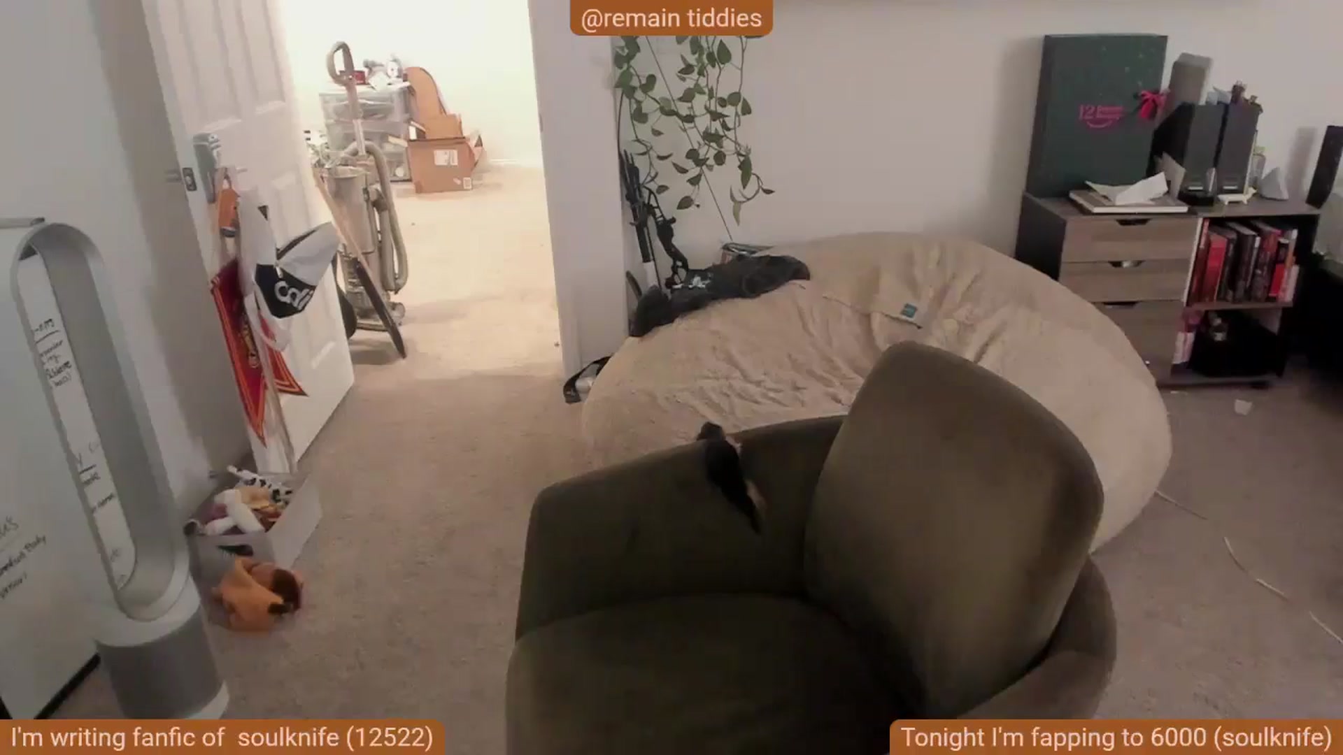 Gallery image thumbnail from Nami_'s myfreecams stream on, 11/16/2025, 07:36 image 13 of 20