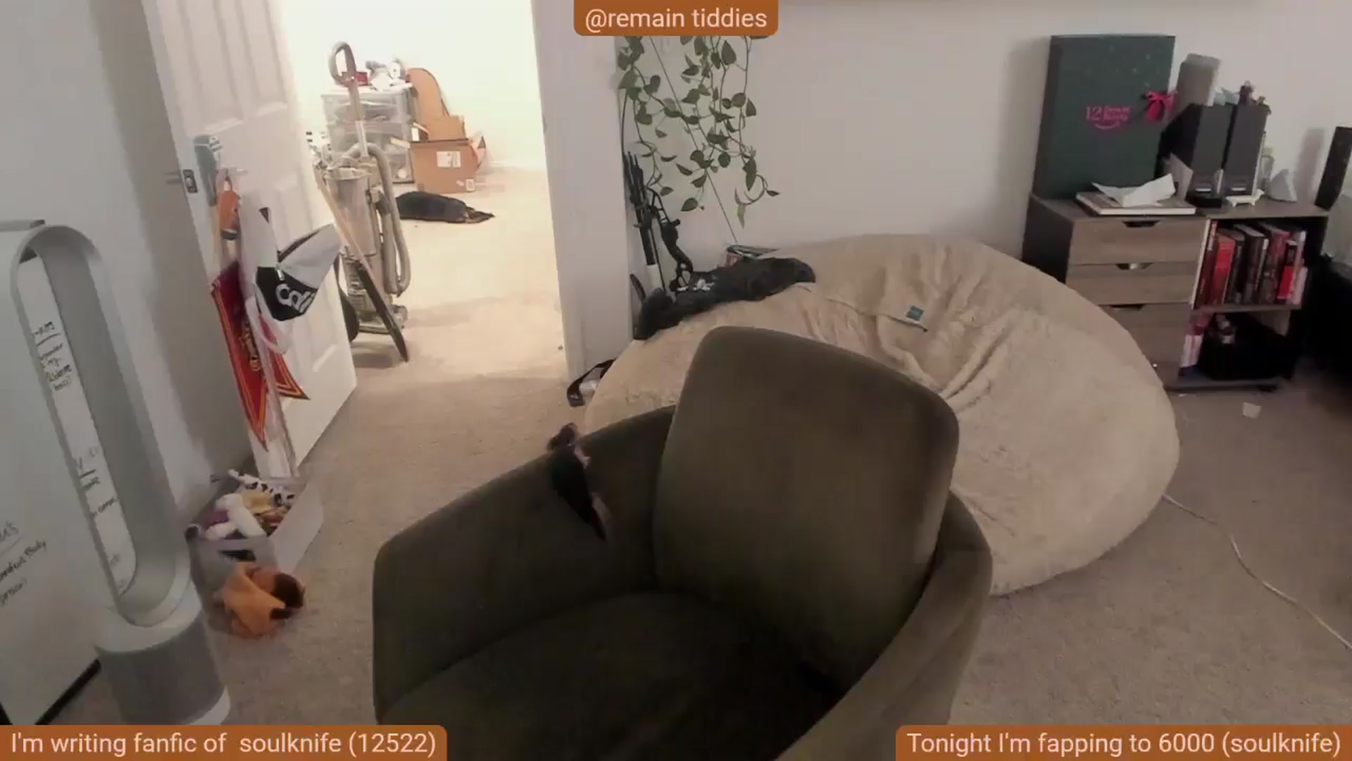 Gallery image thumbnail from Nami_'s myfreecams stream on, 11/16/2025, 07:36 image 5 of 20