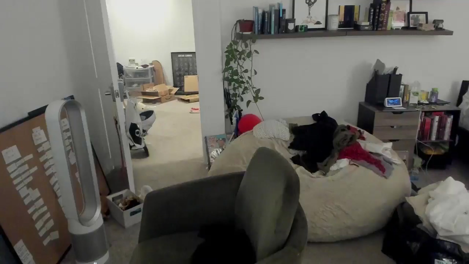 Gallery image thumbnail from Nami_'s myfreecams stream on, 01/17/2026, 15:19 image 6 of 20