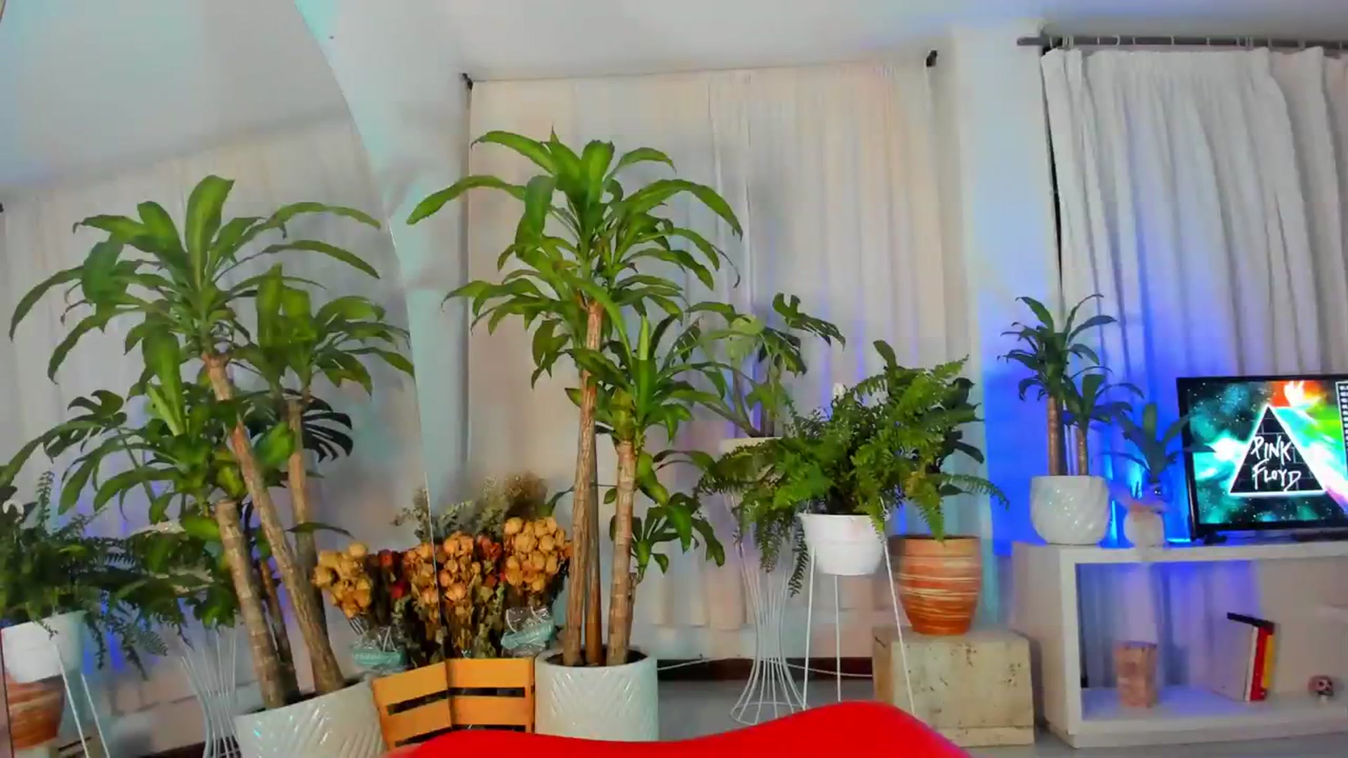 Gallery image thumbnail from Nana_Belle's myfreecams stream on, 07/29/2023, 08:10 image 18 of 20